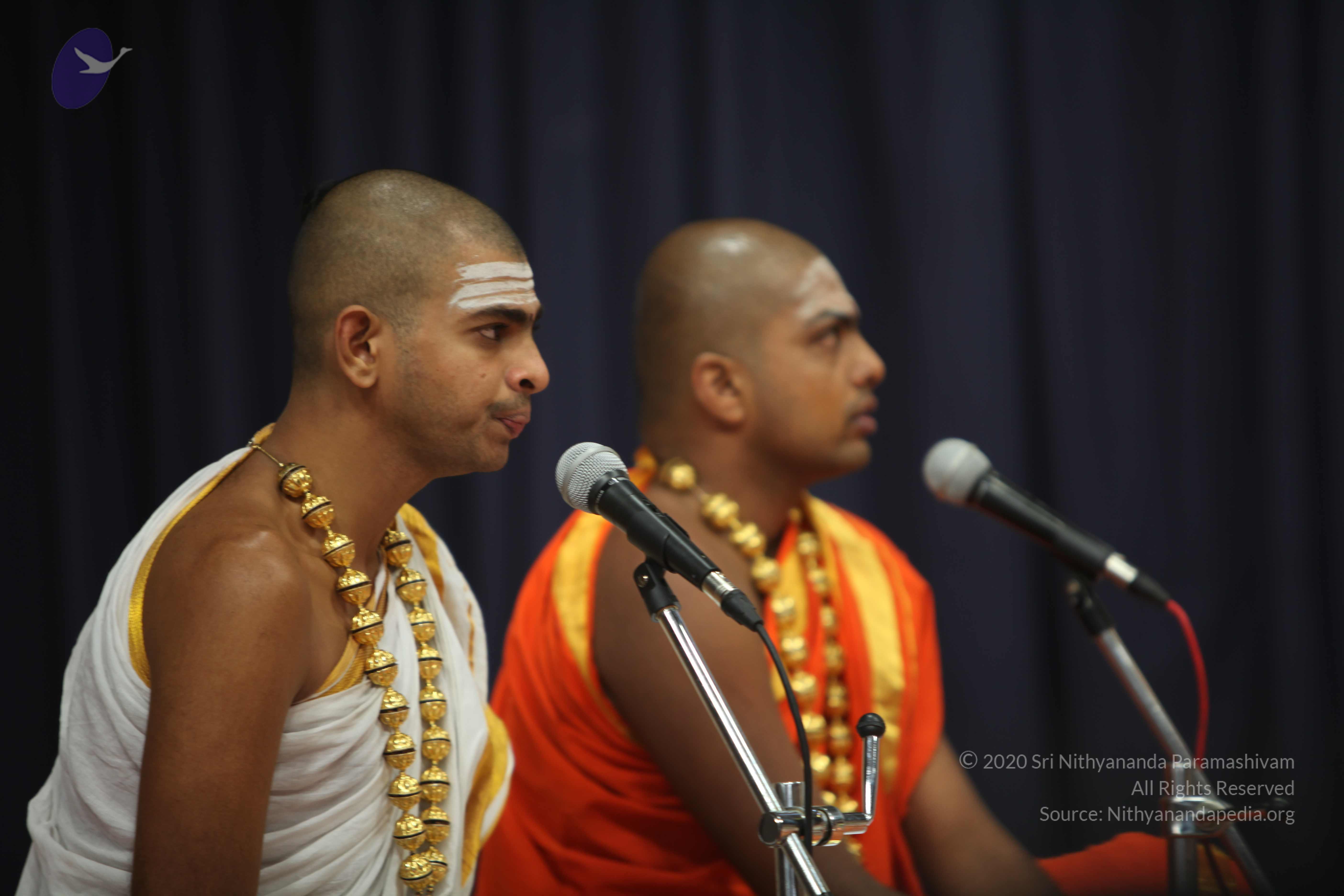 20110202_Photo_1064_IMG_3329_CMP_WM