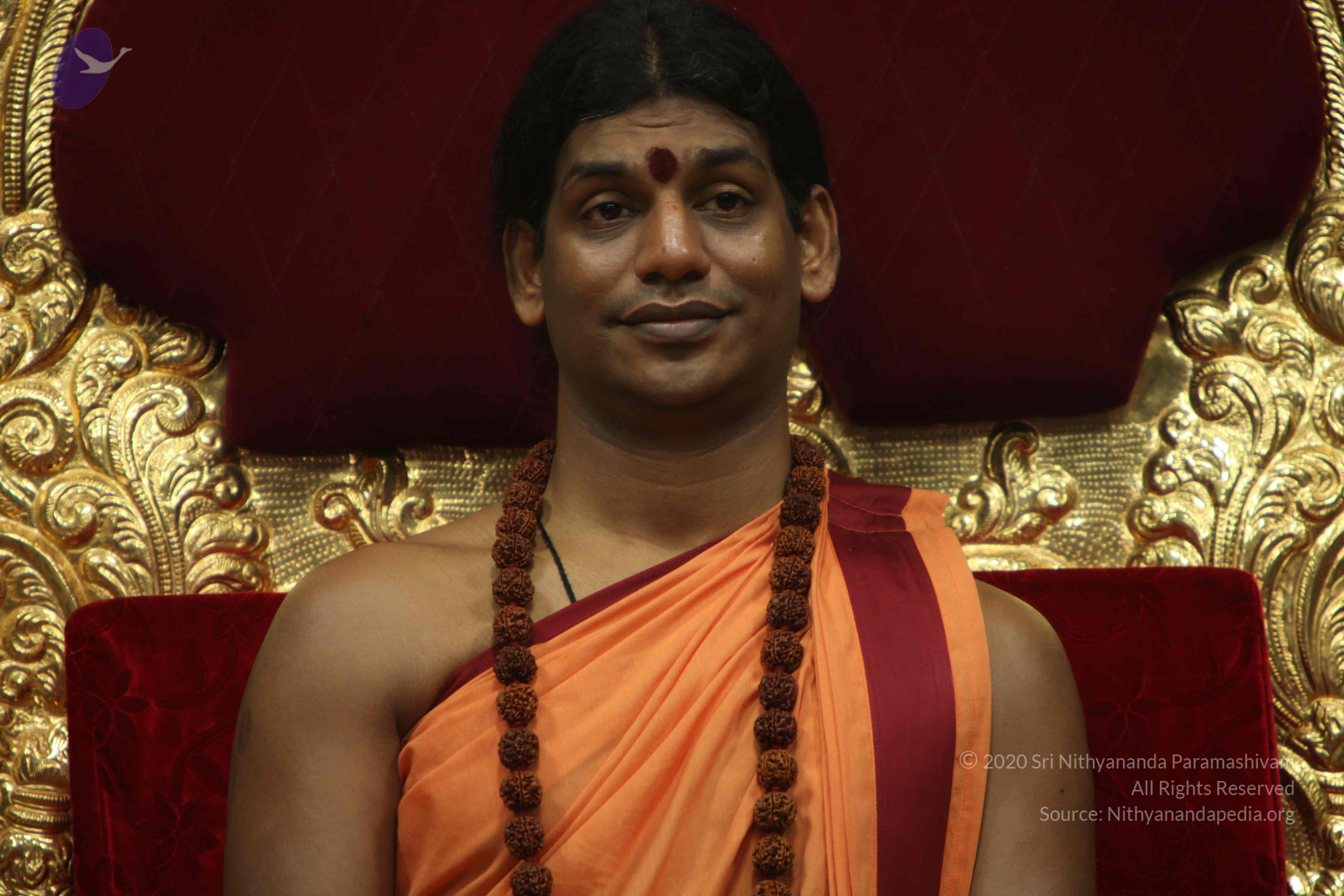 20110202_Photo_1069_IMG_3384_CMP_WM