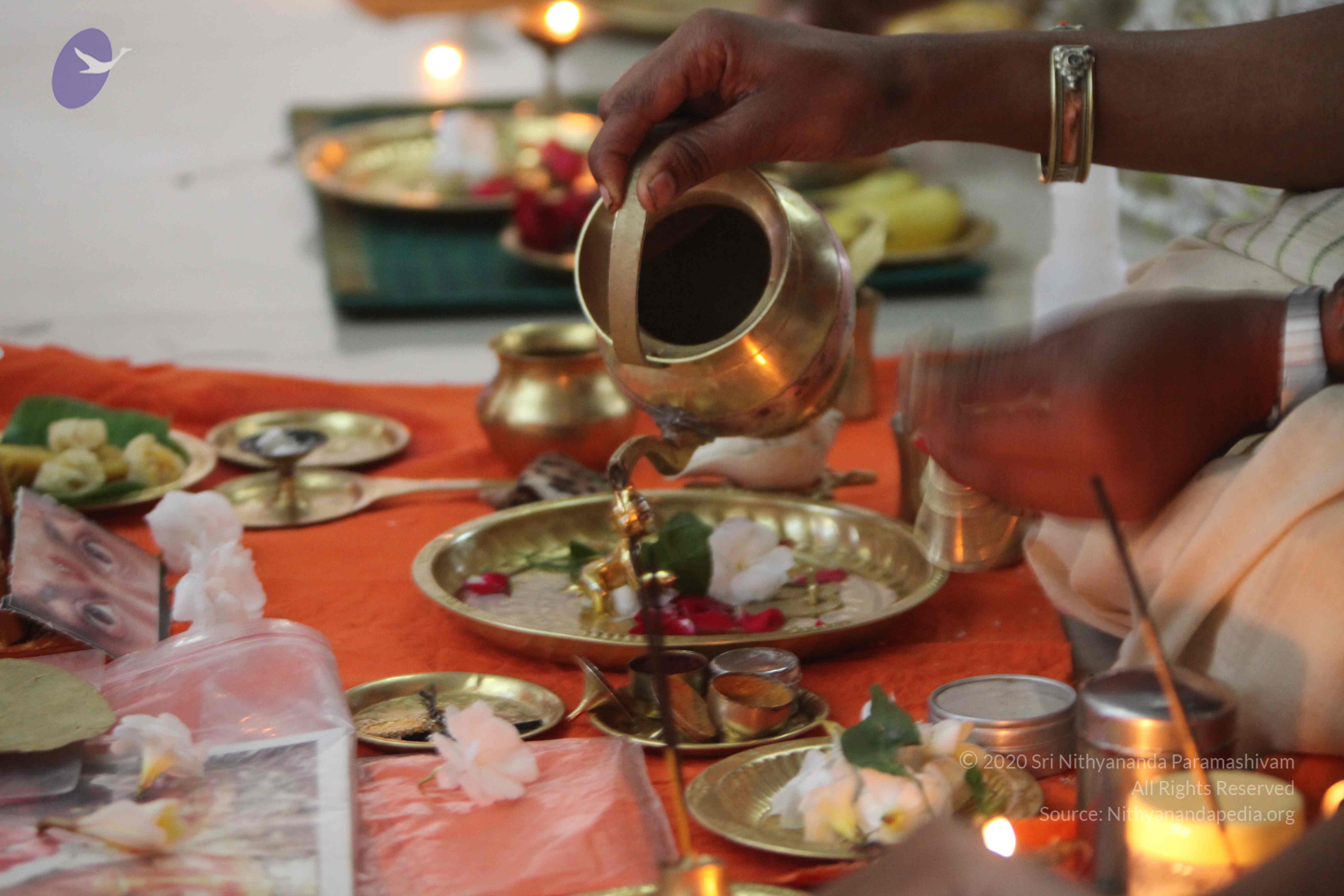 20110202_Photo_1072_IMG_3432_CMP_WM