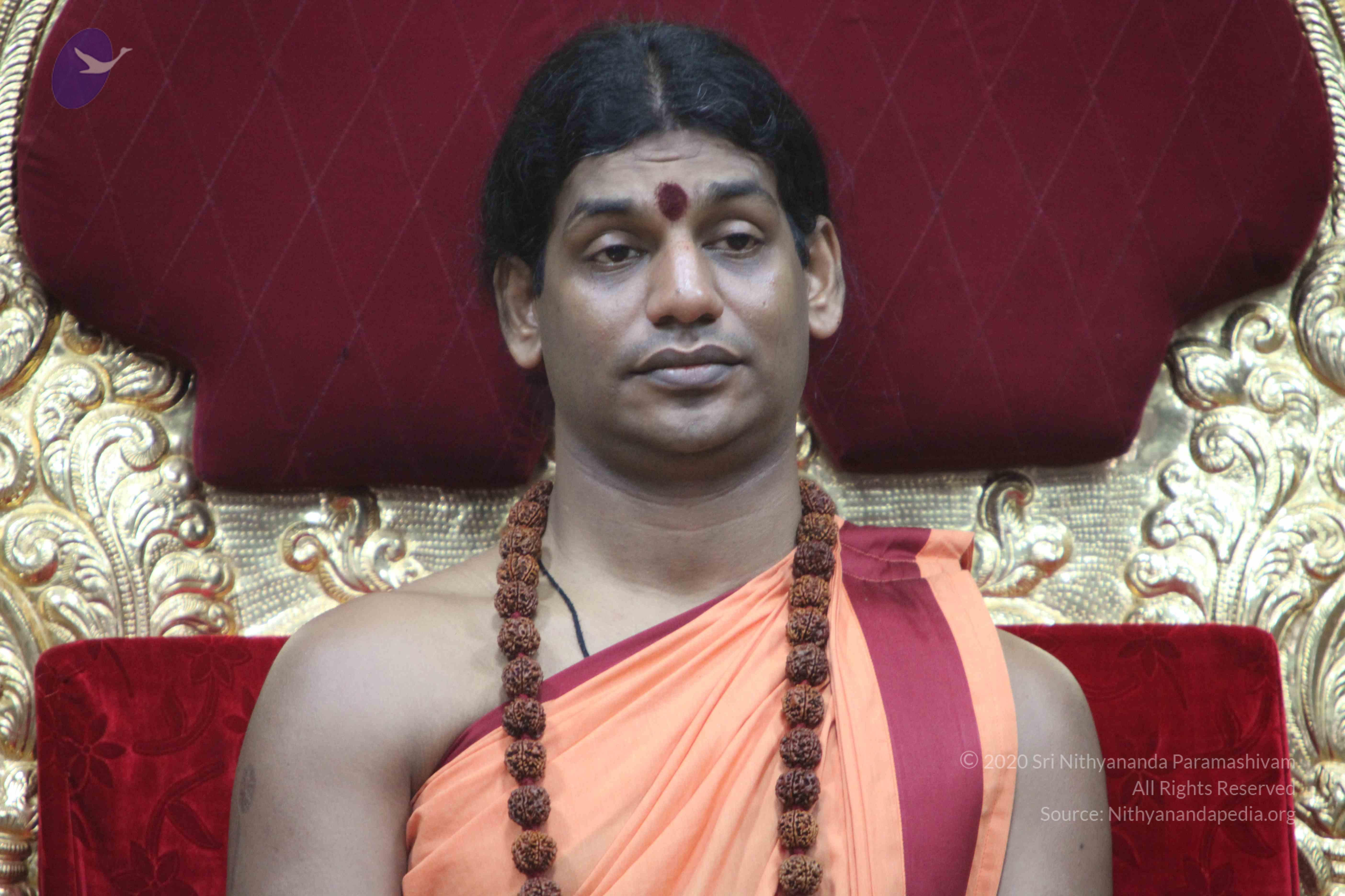 20110202_Photo_1088_IMG_3441_CMP_WM