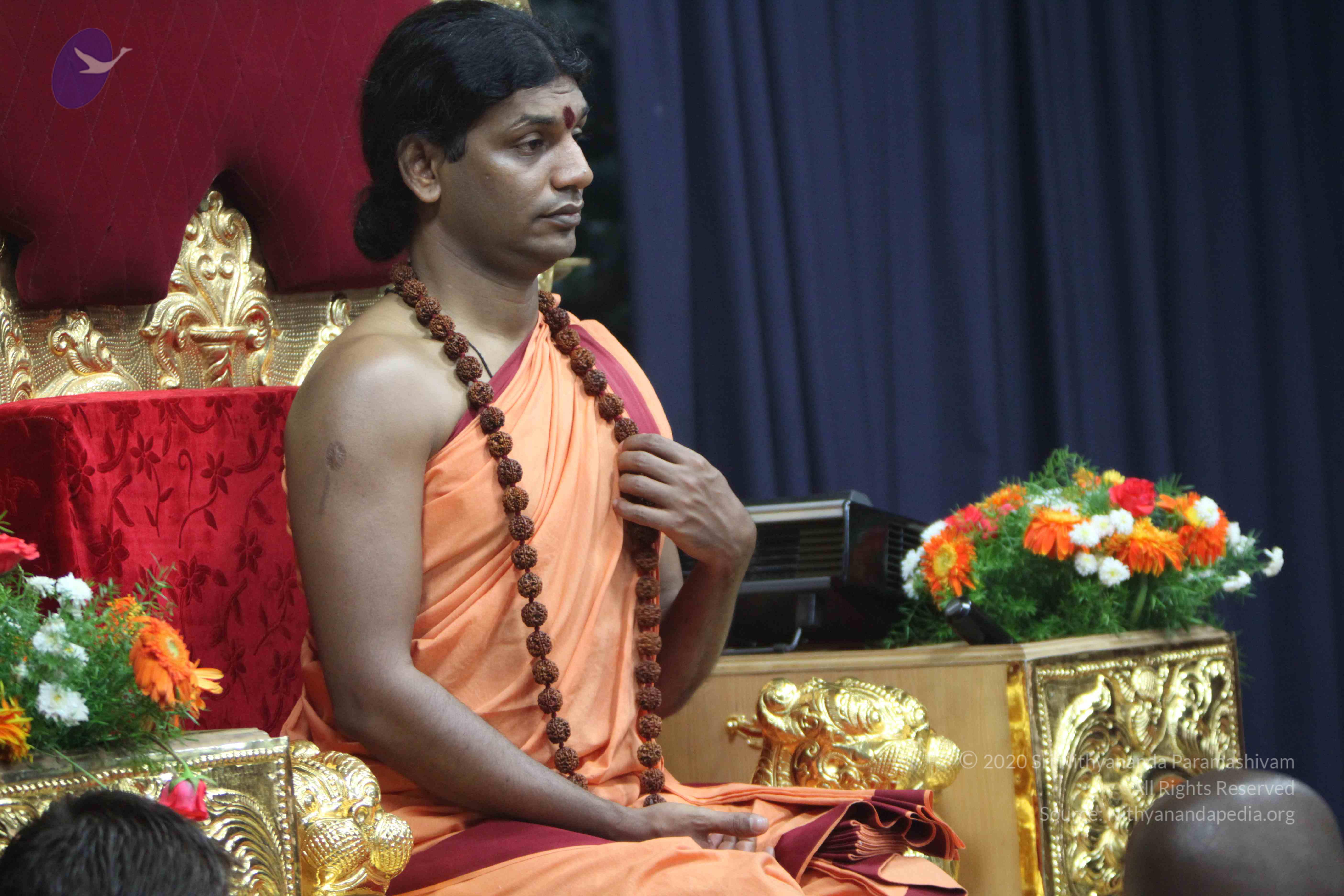 20110202_Photo_1093_IMG_3414_CMP_WM