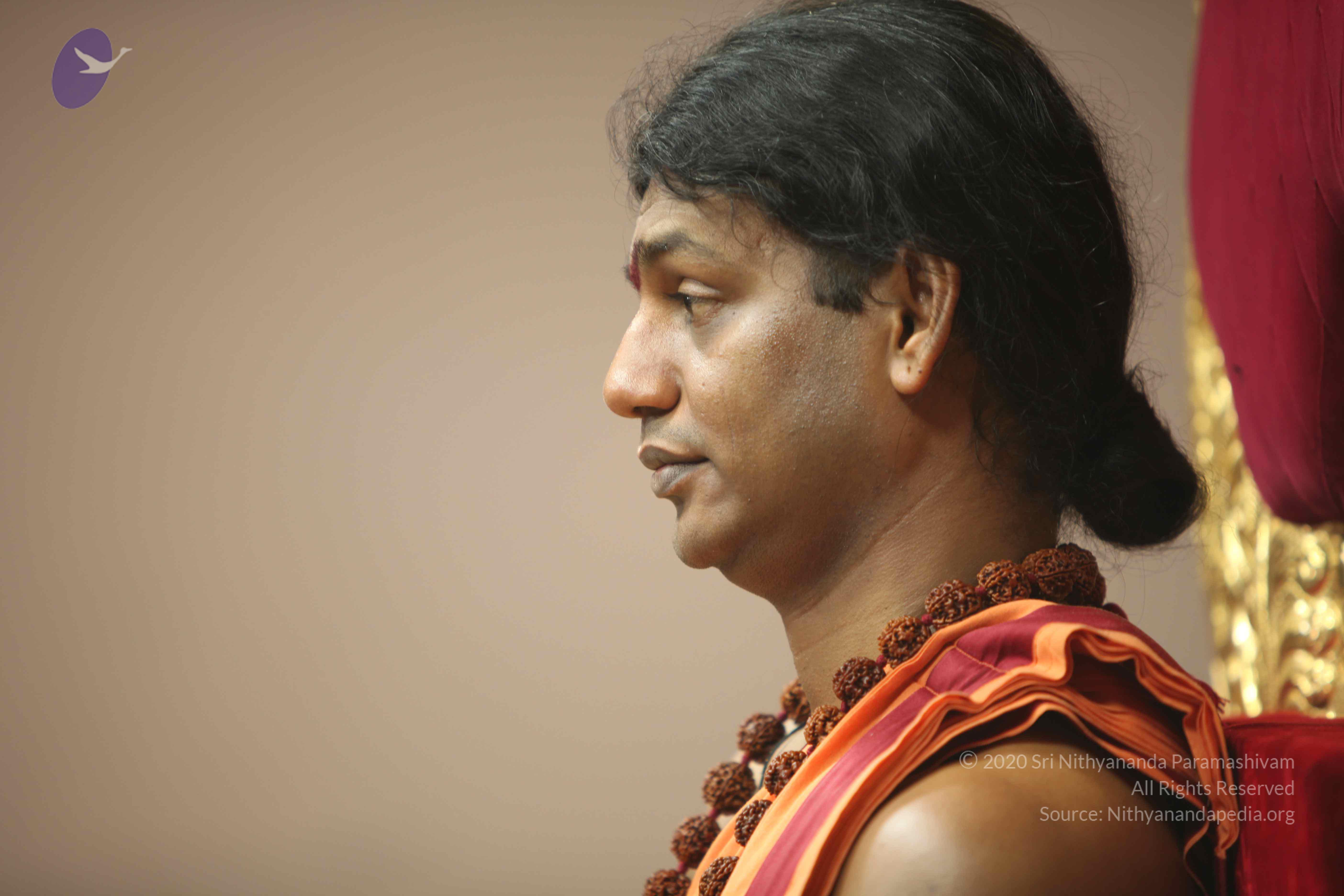 20110202_Photo_1104_IMG_3326_CMP_WM