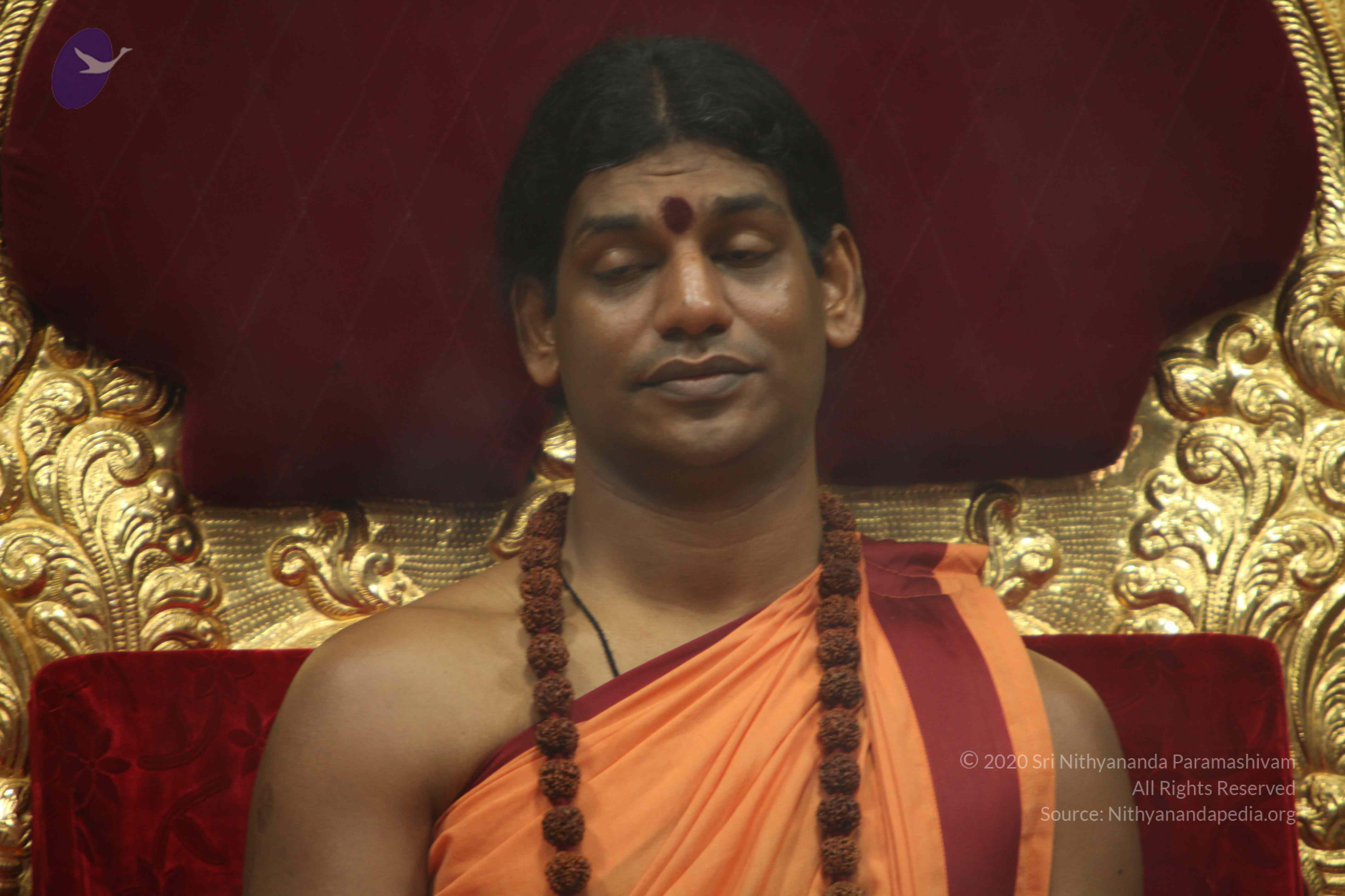 20110202_Photo_1133_IMG_3462_CMP_WM