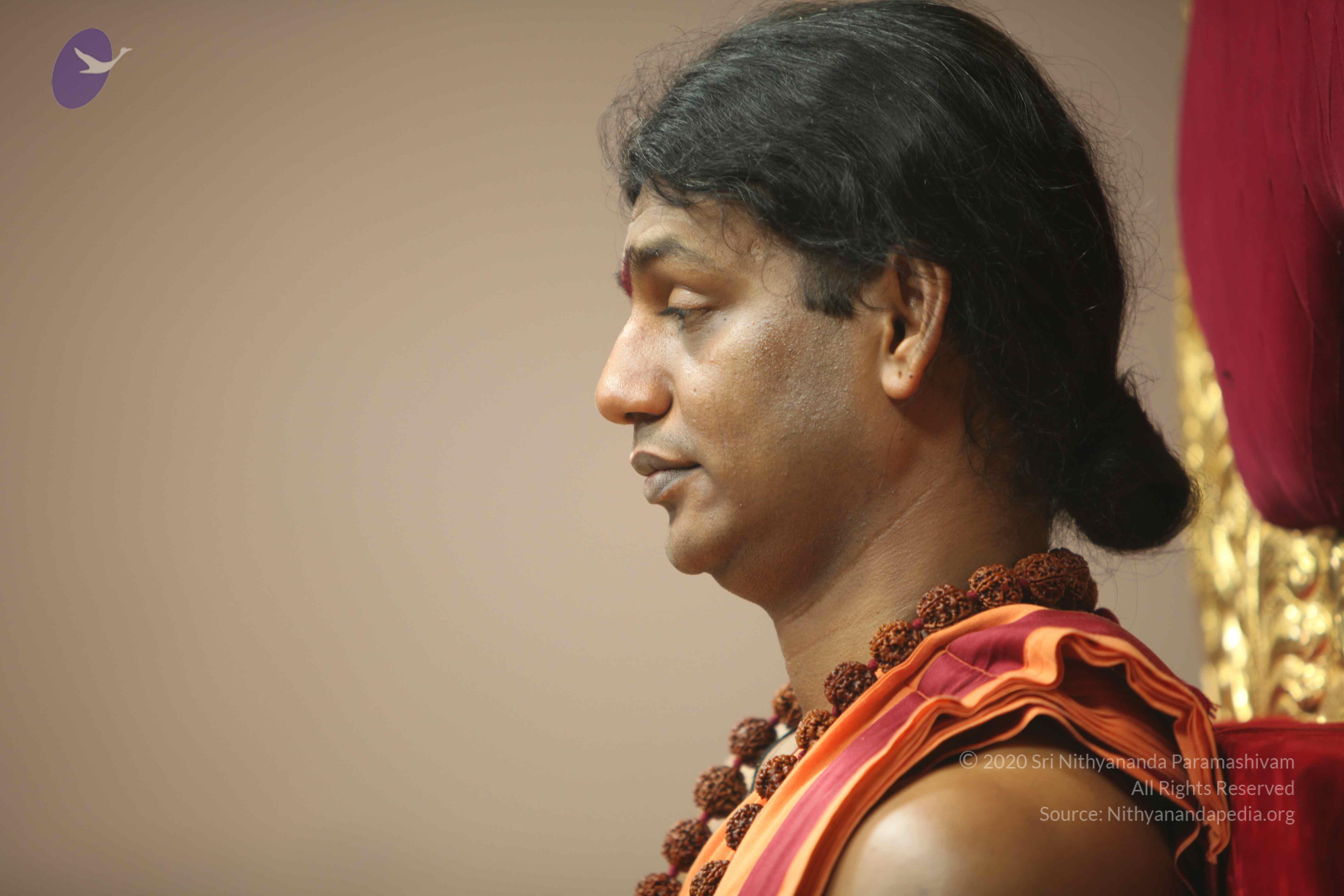 20110202_Photo_1202_IMG_3327_CMP_WM