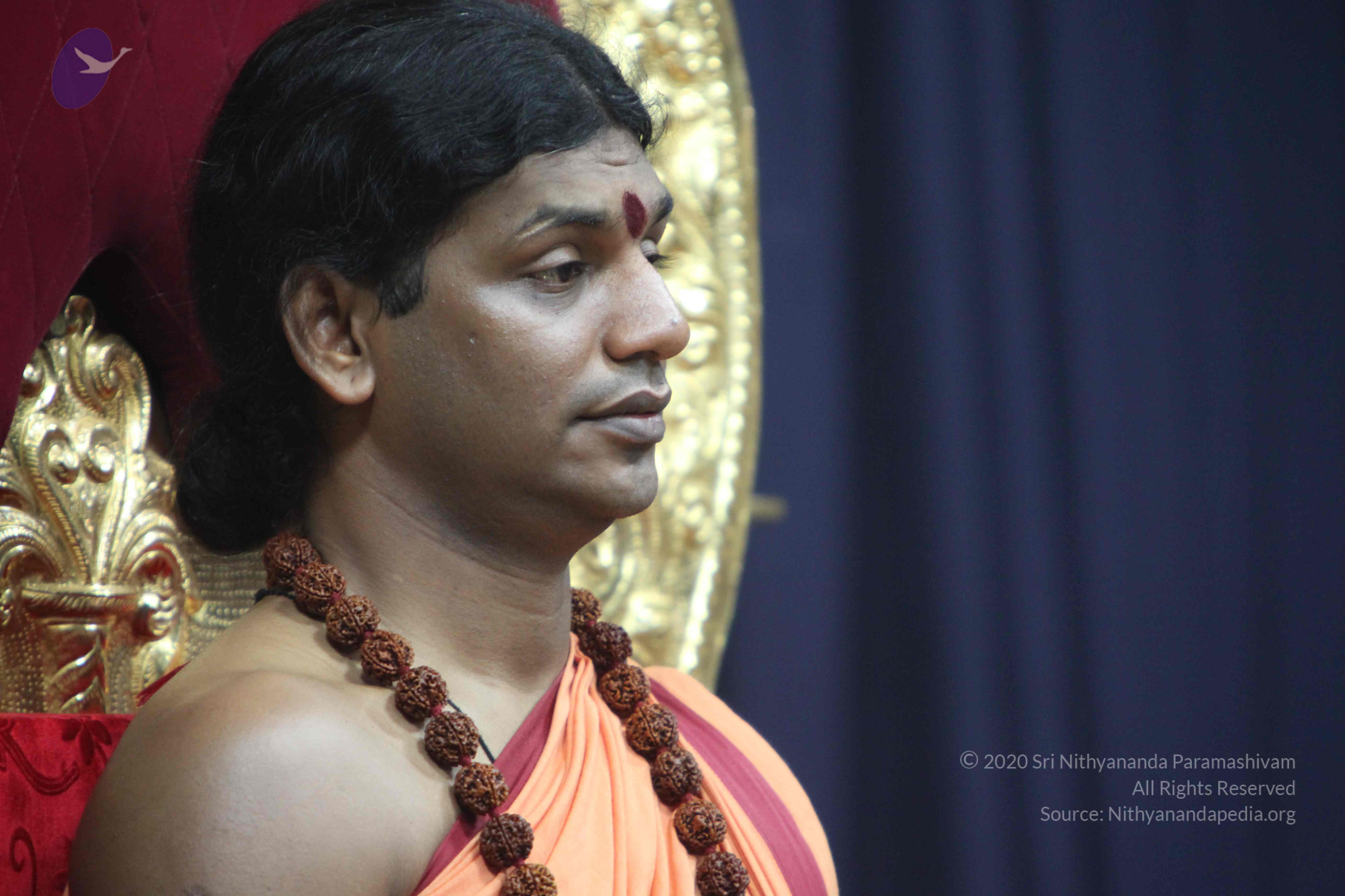 20110202_Photo_1266_IMG_3409_CMP_WM