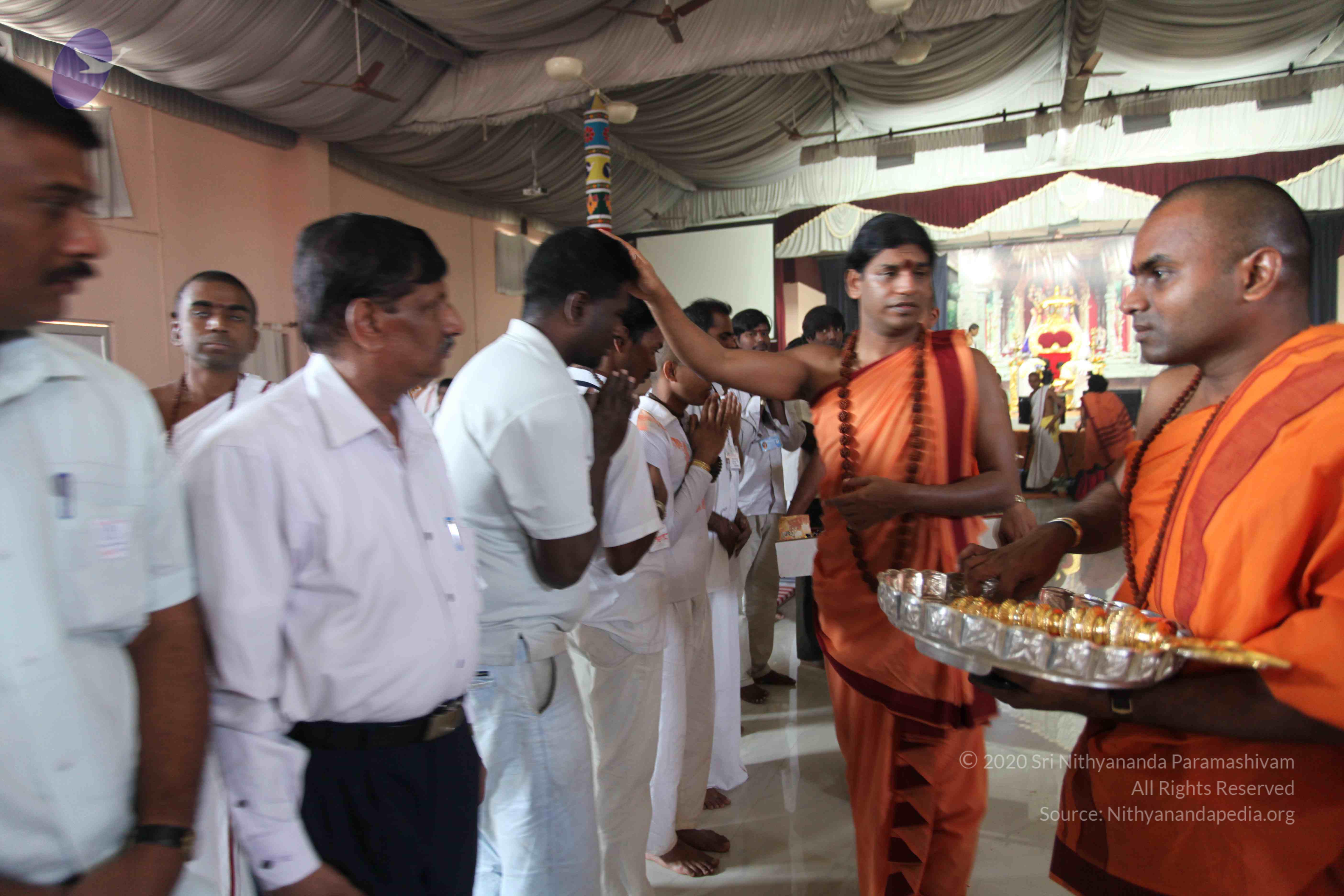 20110202_Photo_1049_IMG_3864_CMP_WM