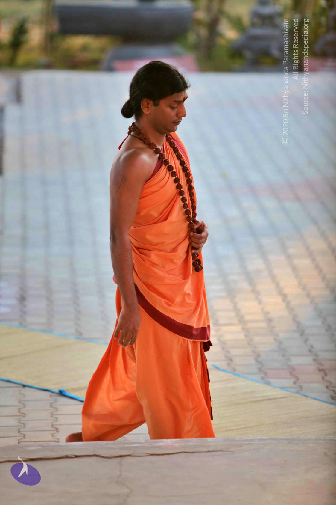 20110202_Photo_1001_IMG_3059_CMP_WM