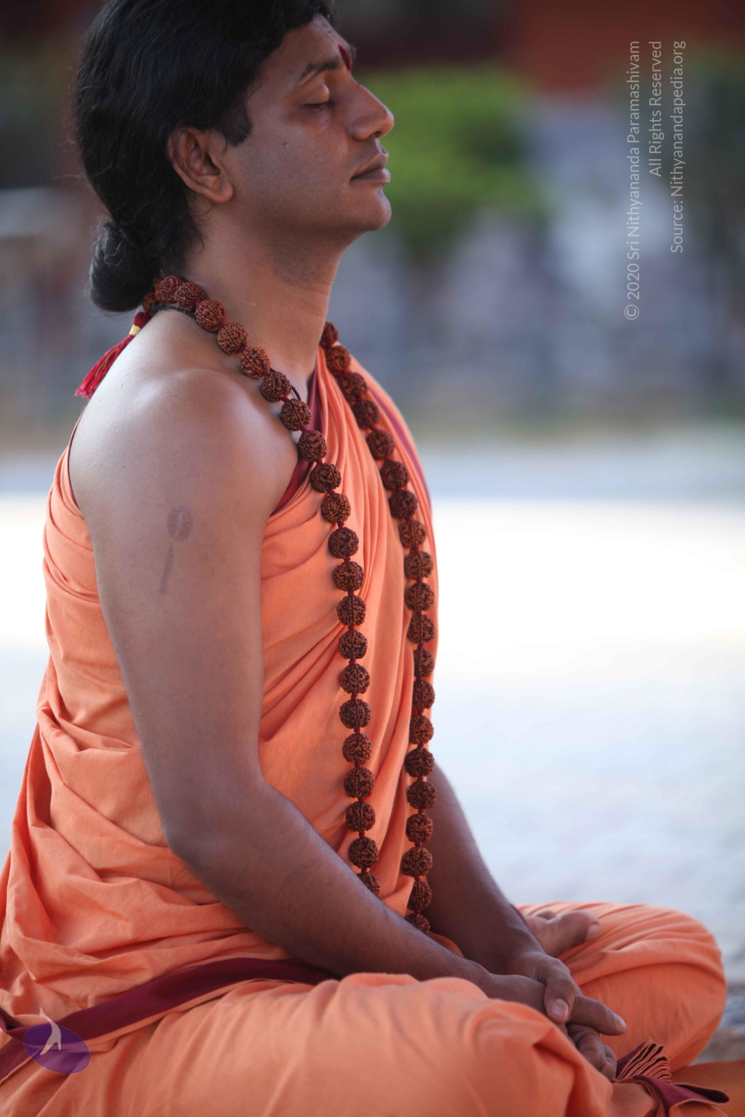 20110202_Photo_1002_IMG_3224_CMP_WM