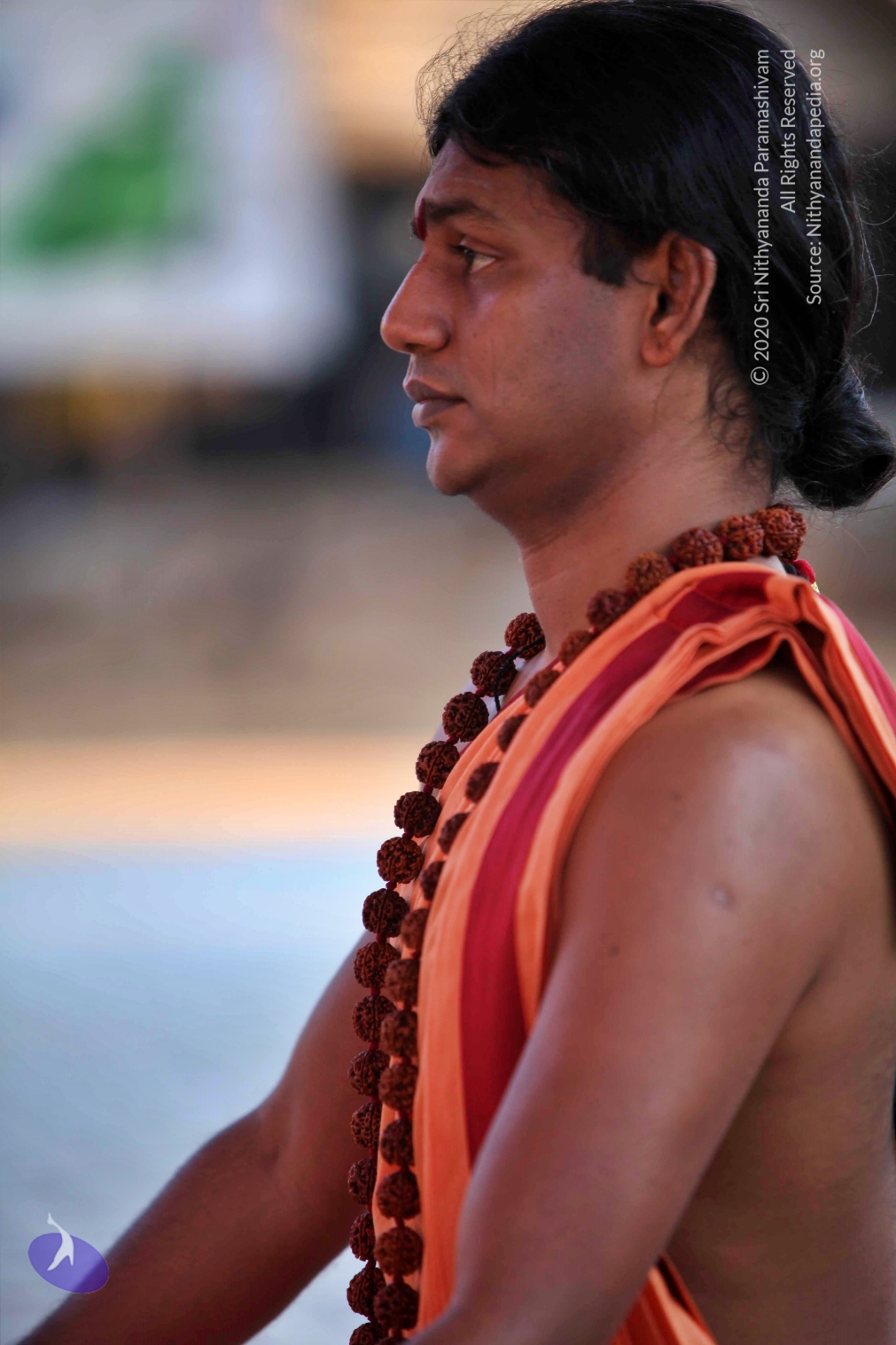 20110202_Photo_1004_IMG_3185_CMP_WM