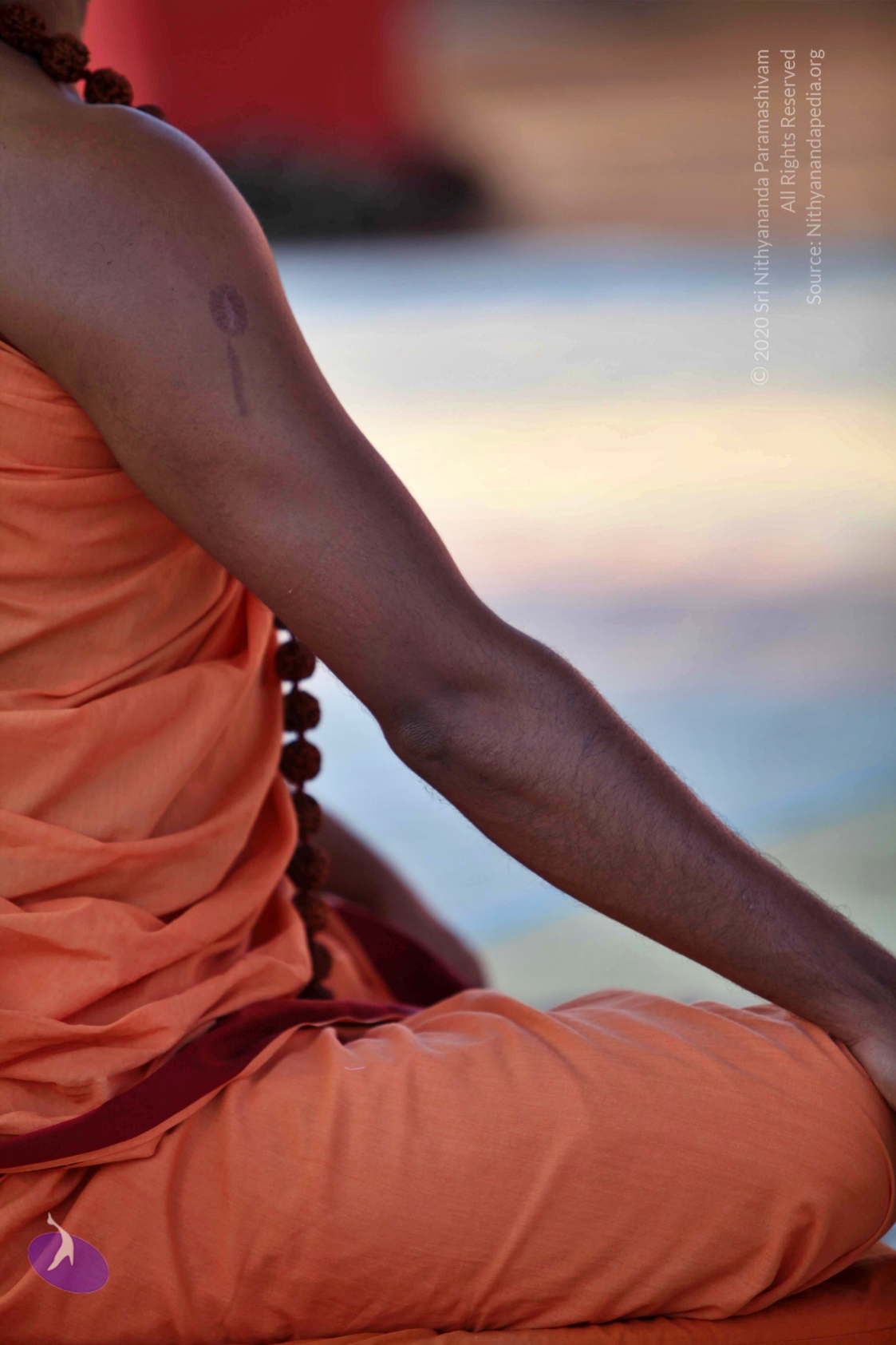 20110202_Photo_1005_IMG_3133_CMP_WM