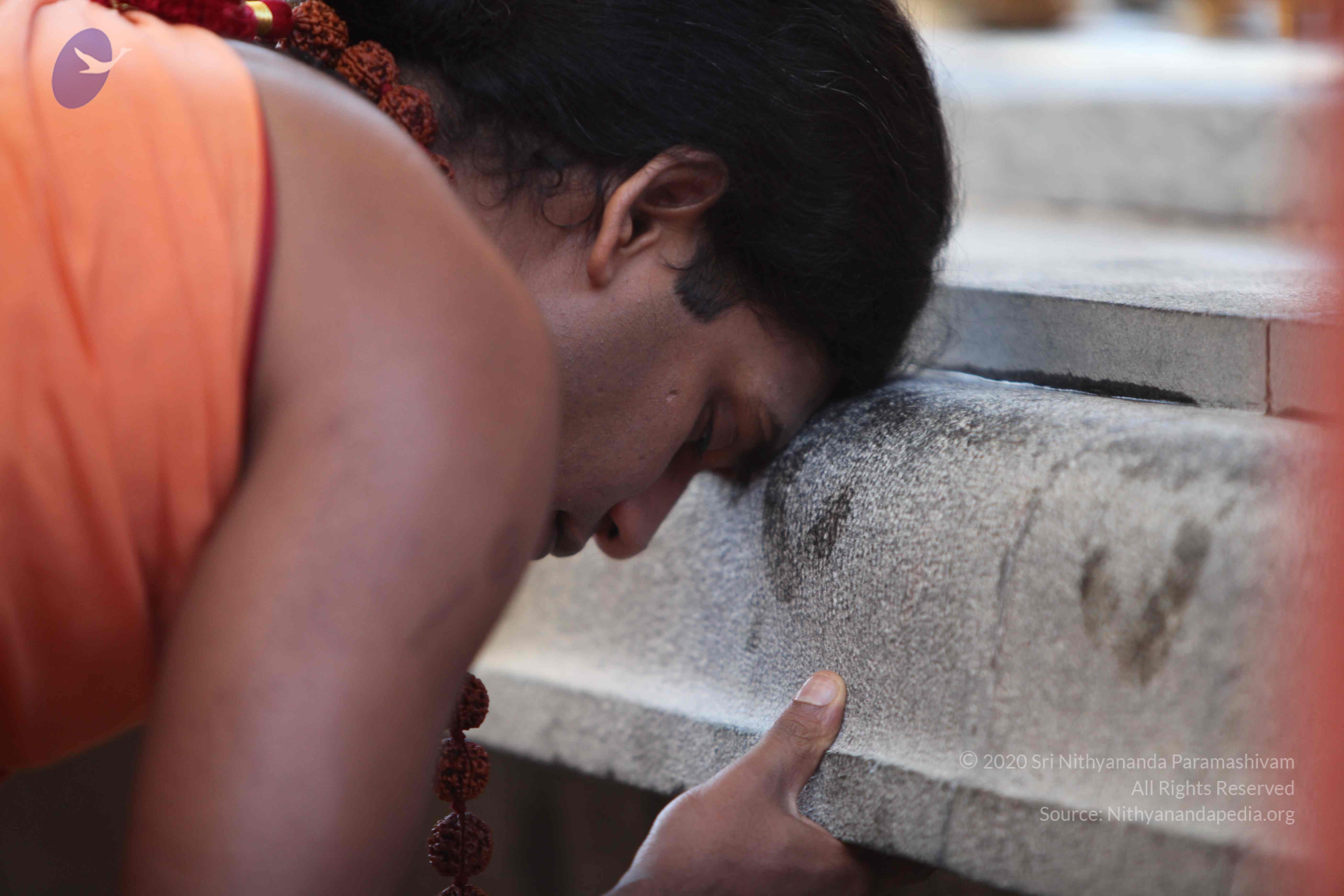 20110202_Photo_1008_IMG_3072_CMP_WM