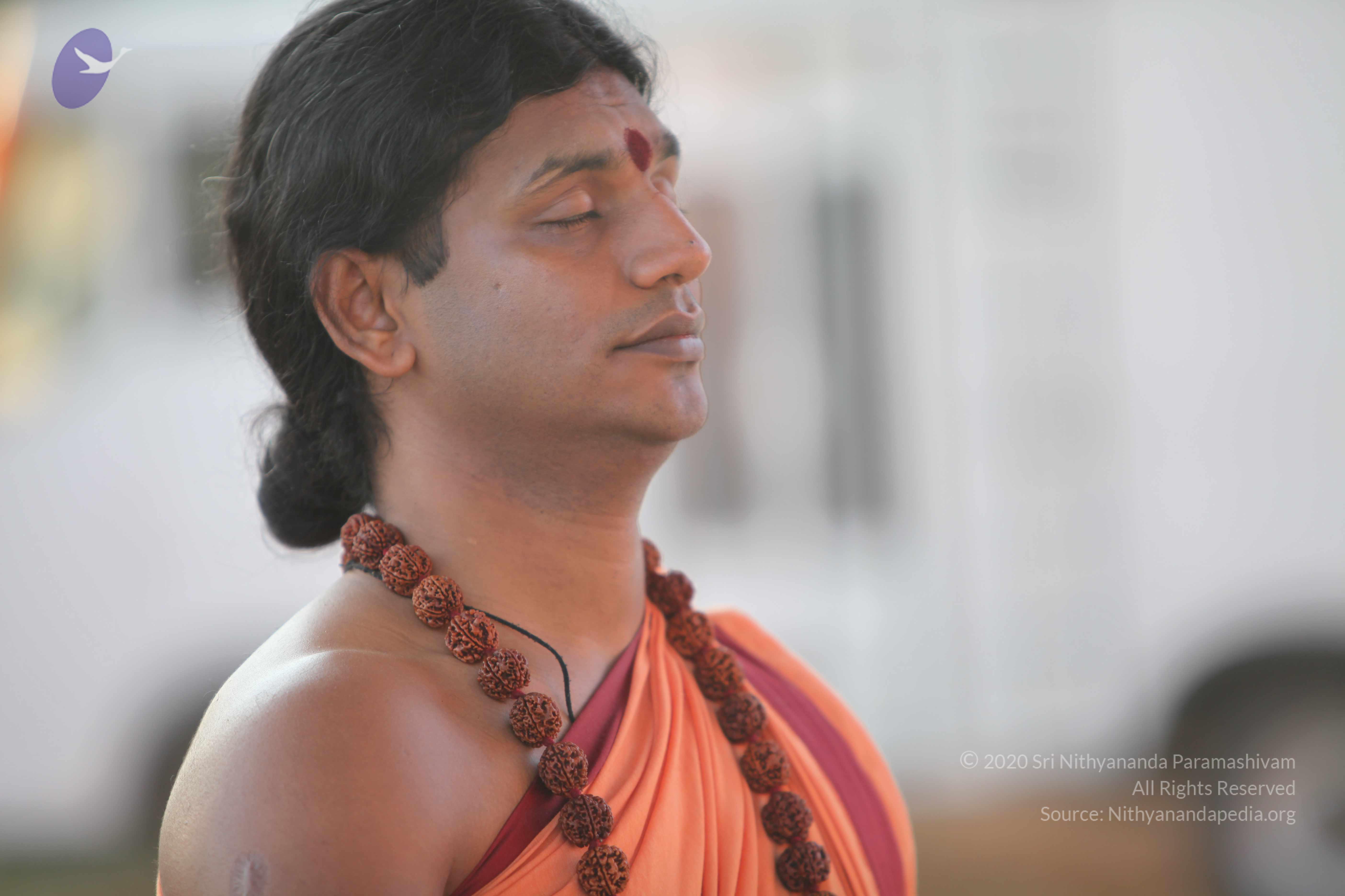 20110202_Photo_1009_IMG_3151_CMP_WM