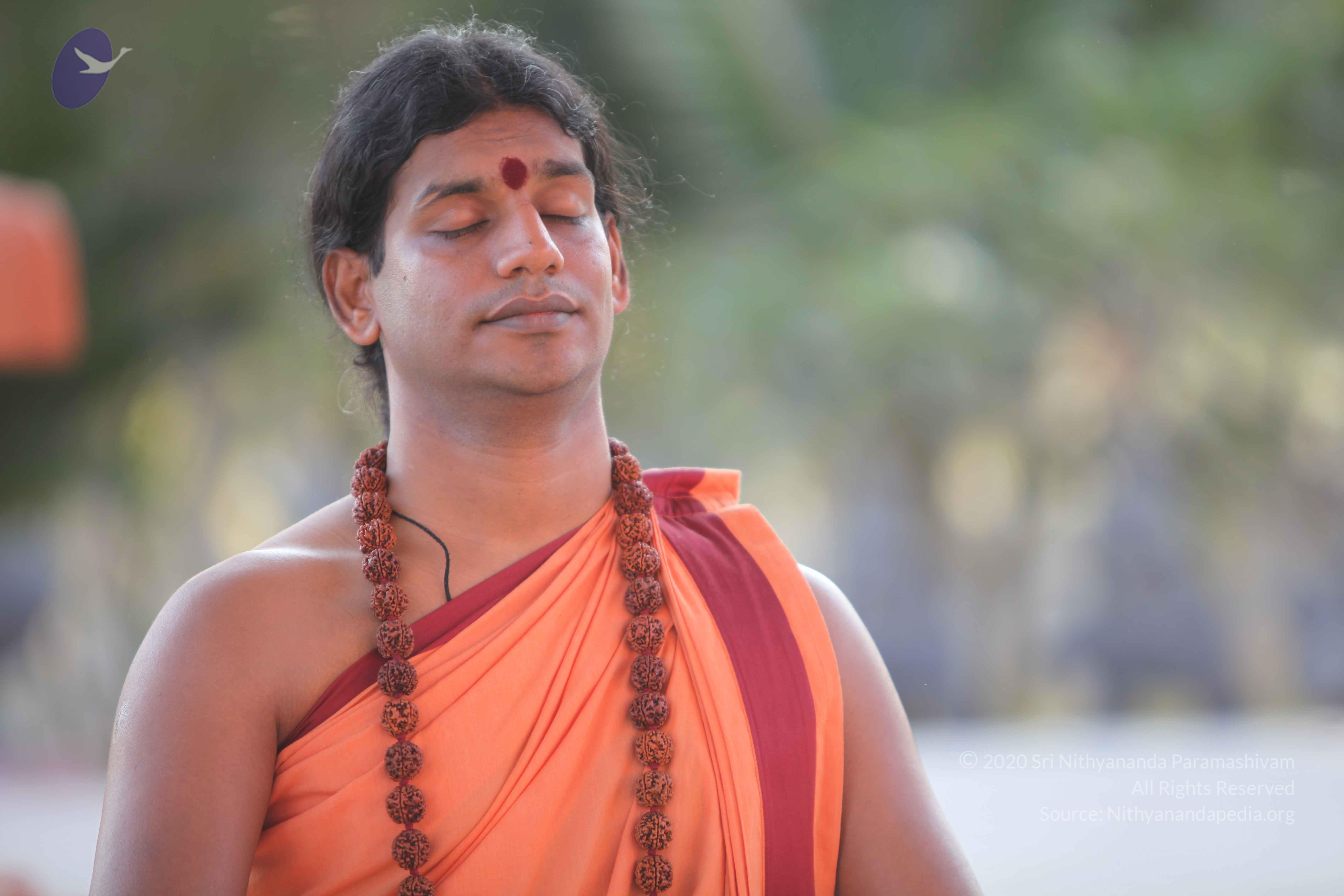 20110202_Photo_1010_IMG_3166_CMP_WM