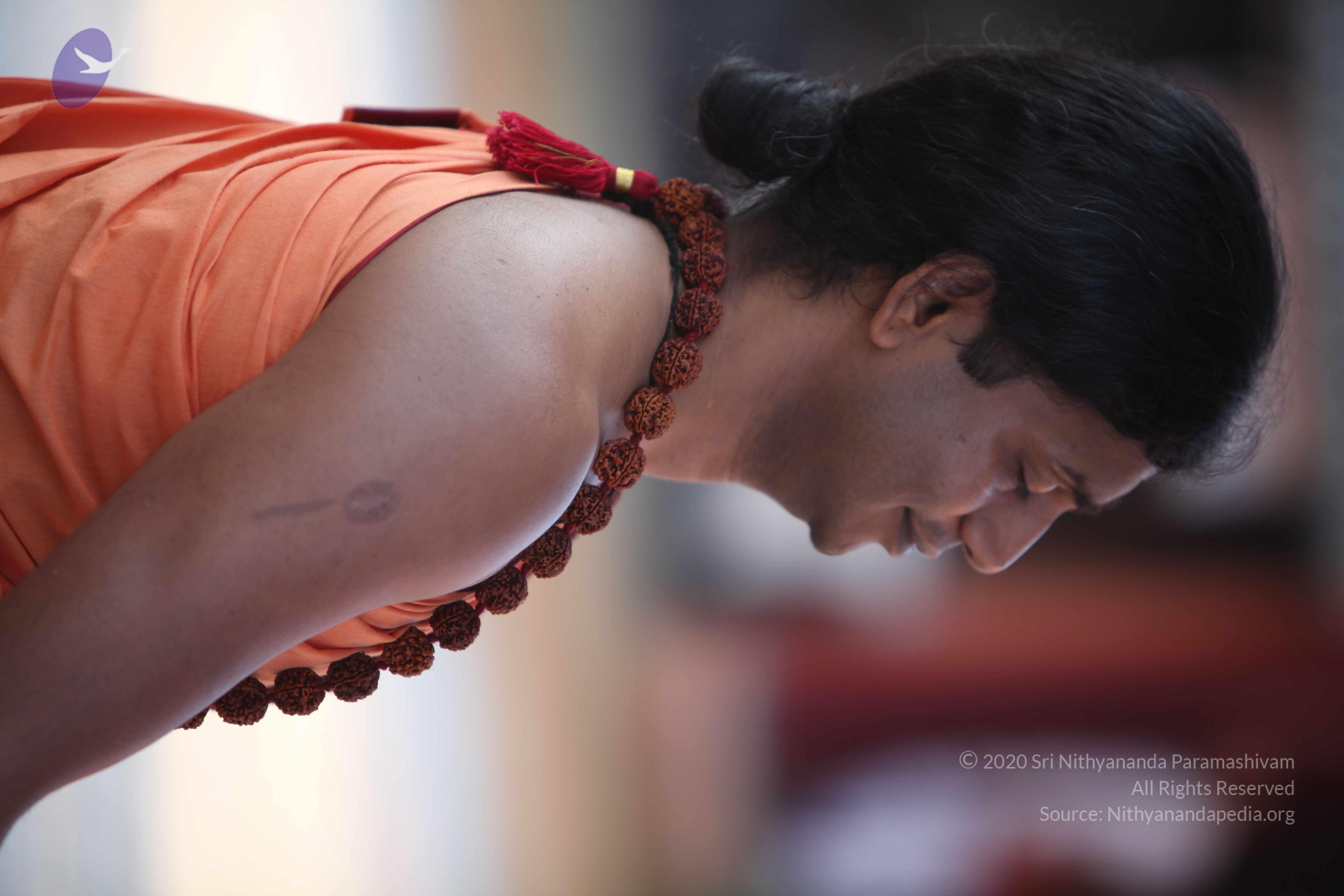 20110202_Photo_1014_IMG_3140_CMP_WM