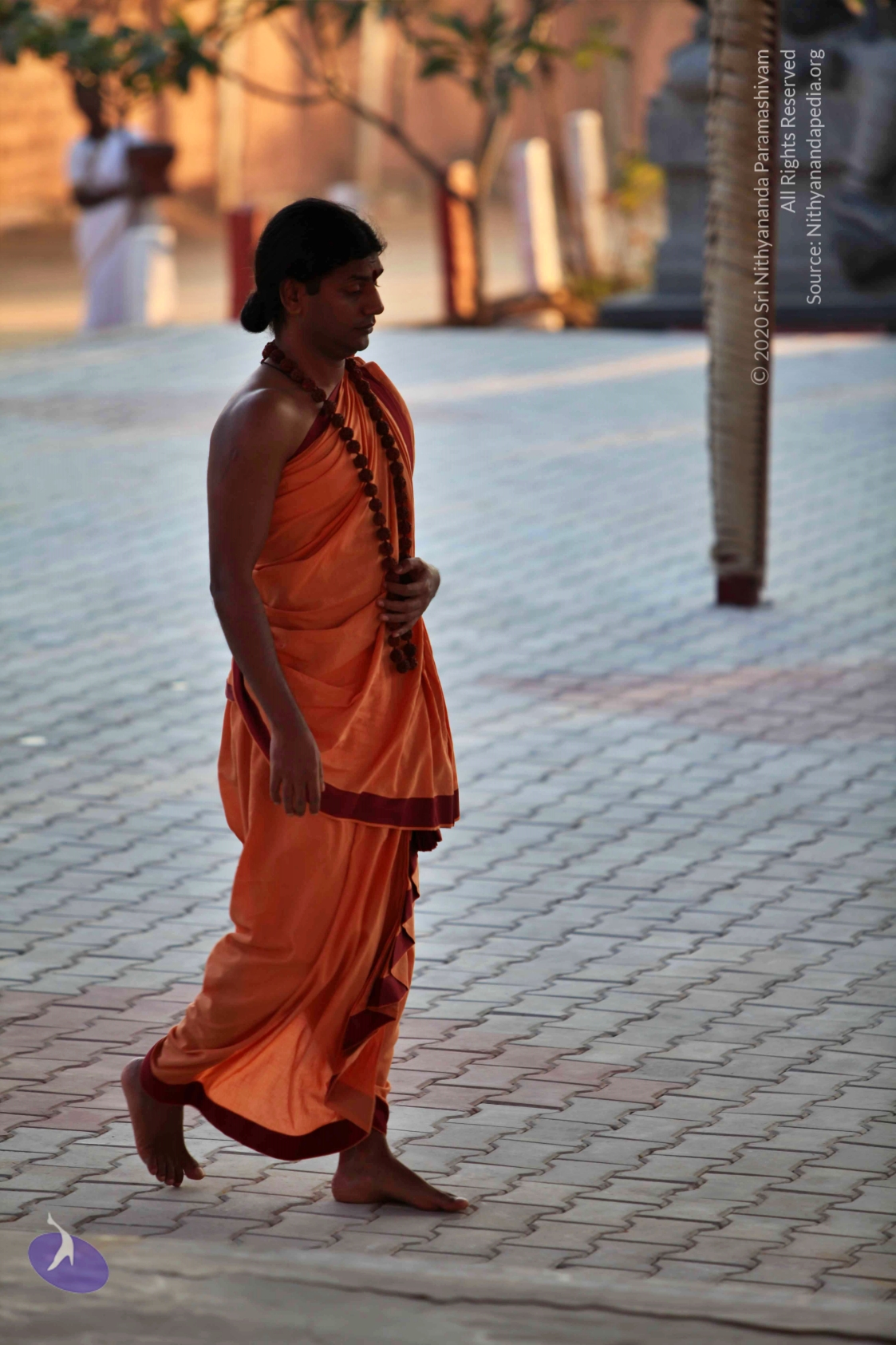 20110202_Photo_1016_IMG_3054_CMP_WM