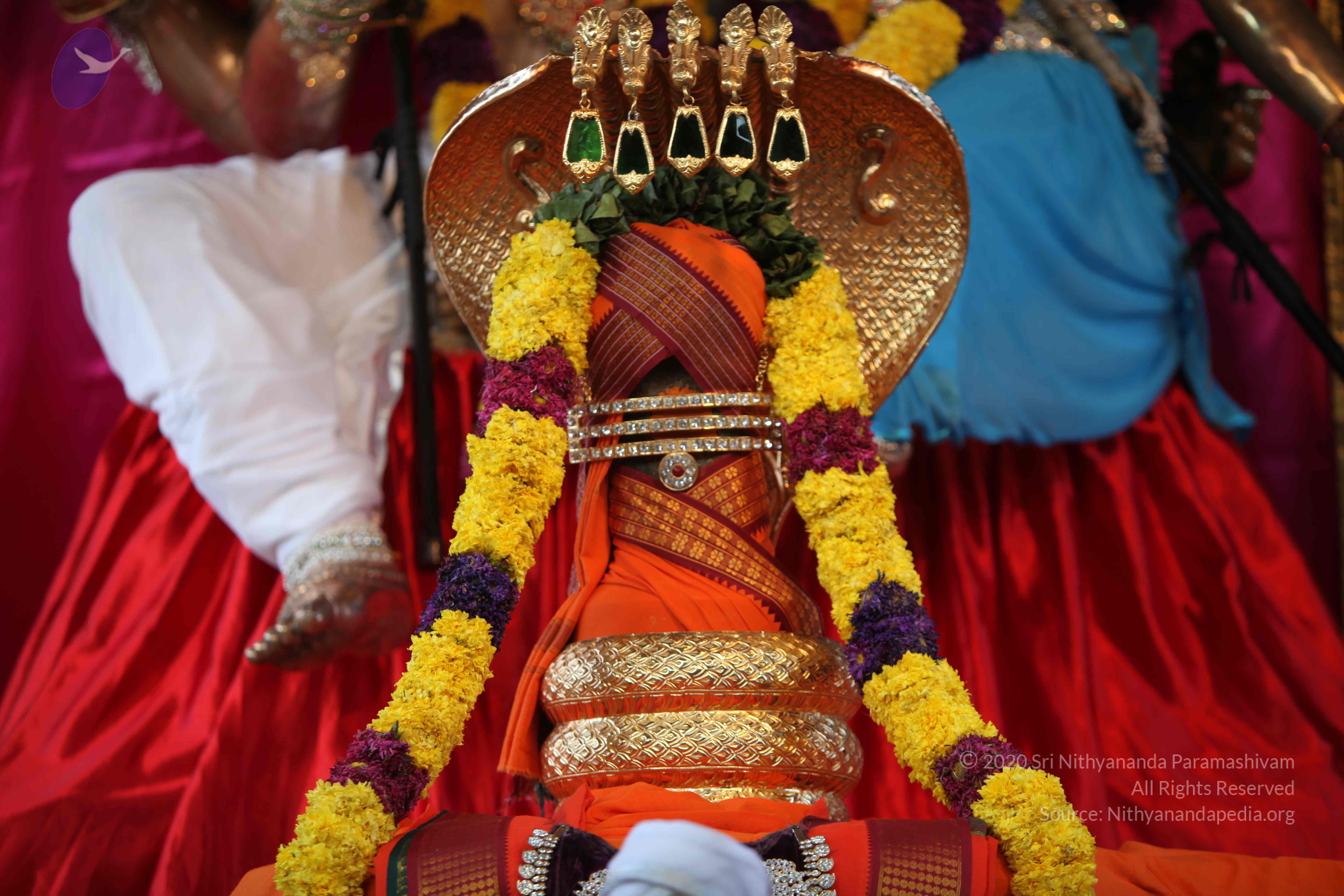 20110202_Photo_1020_IMG_3048_CMP_WM