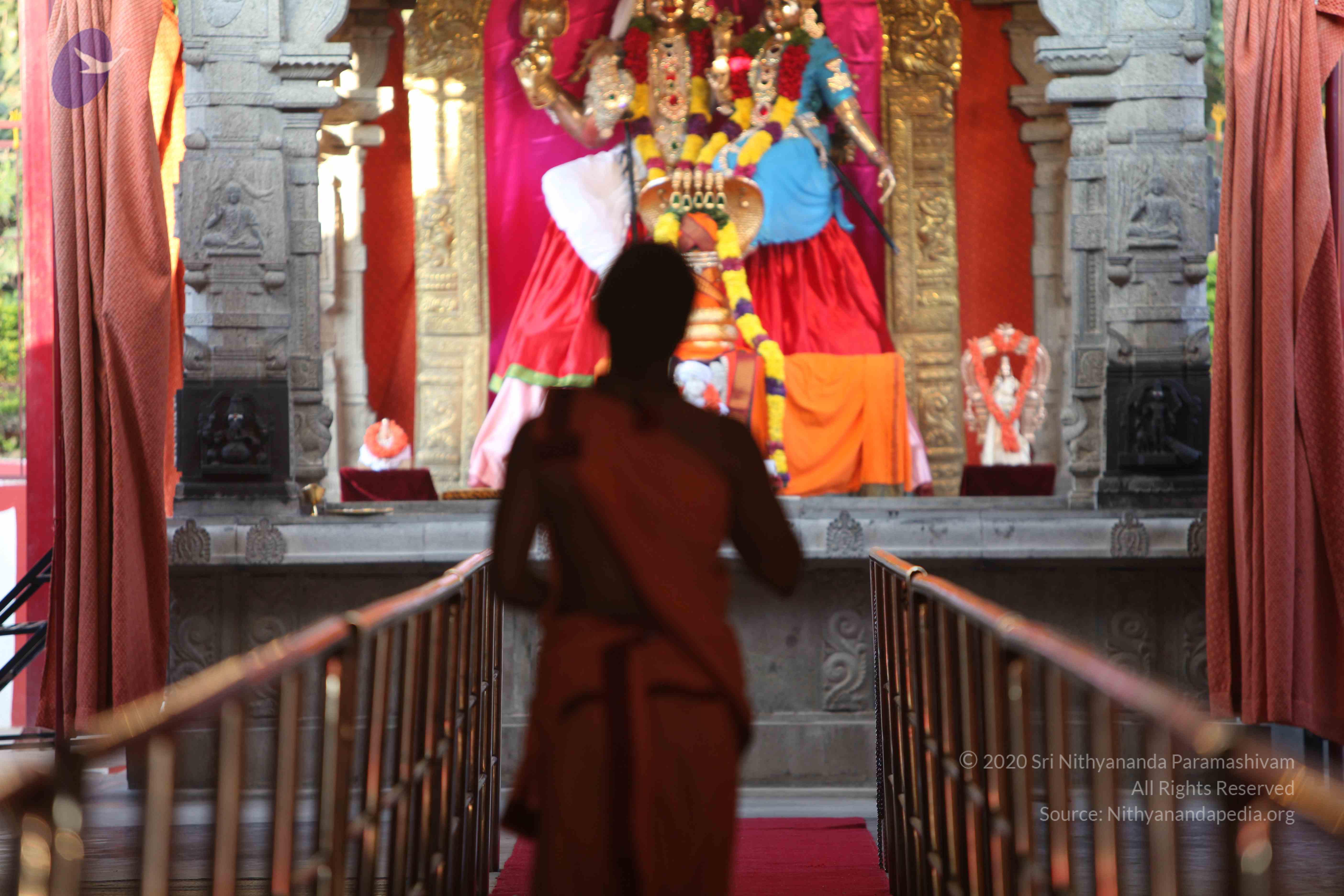 20110202_Photo_1024_IMG_3066_CMP_WM