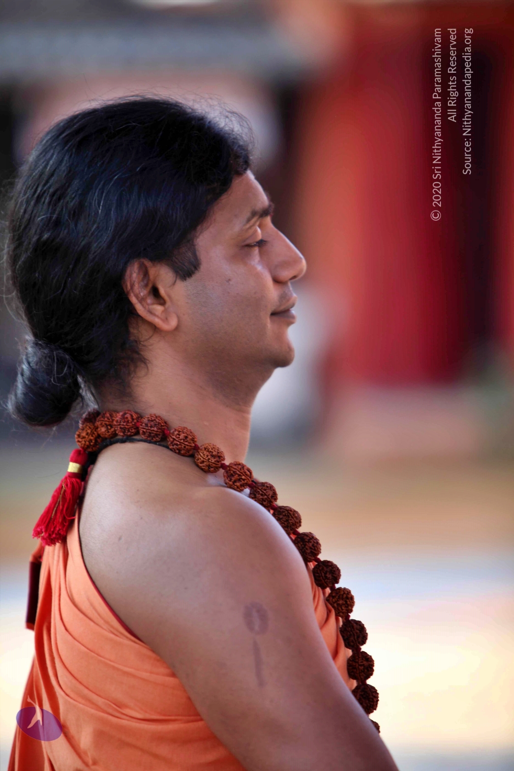 20110202_Photo_1025_IMG_3145_CMP_WM