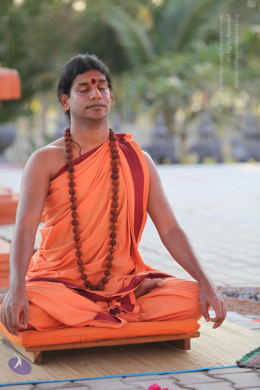 20110202_Photo_1026_IMG_3172_CMP_WM