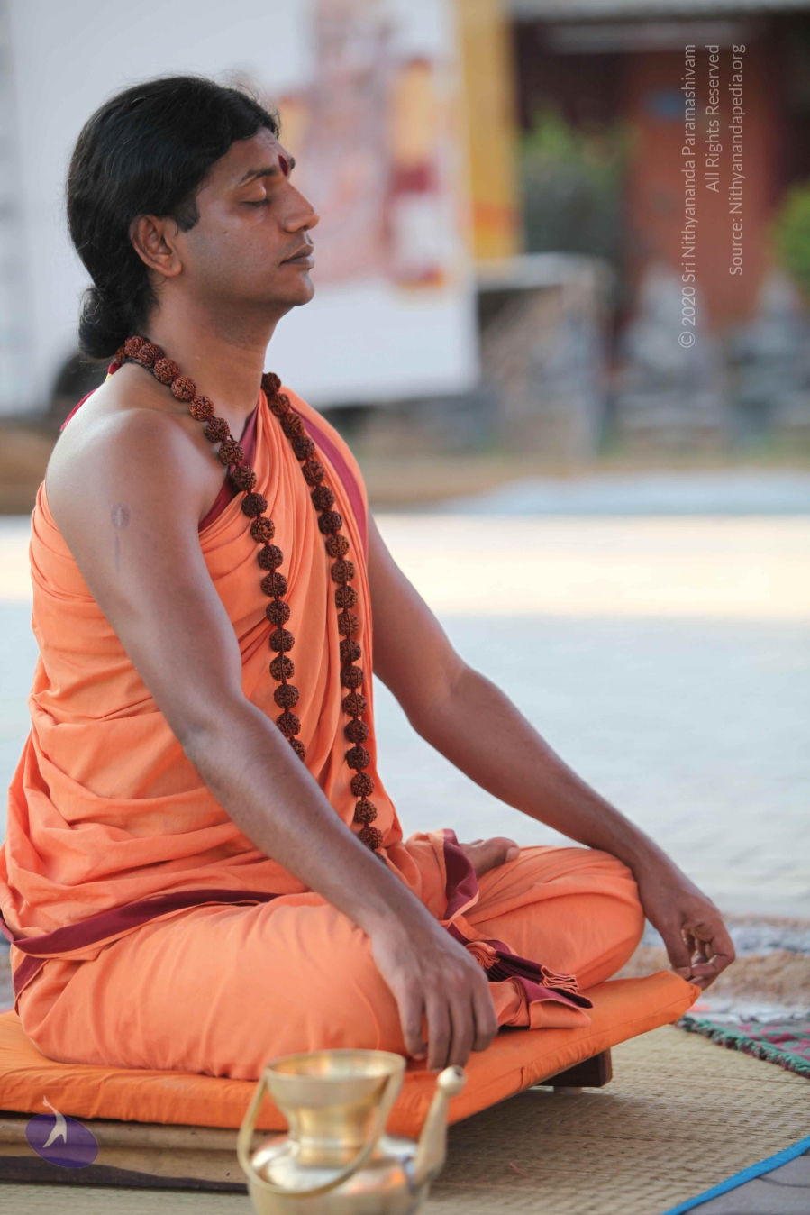 20110202_Photo_1027_IMG_3127_CMP_WM