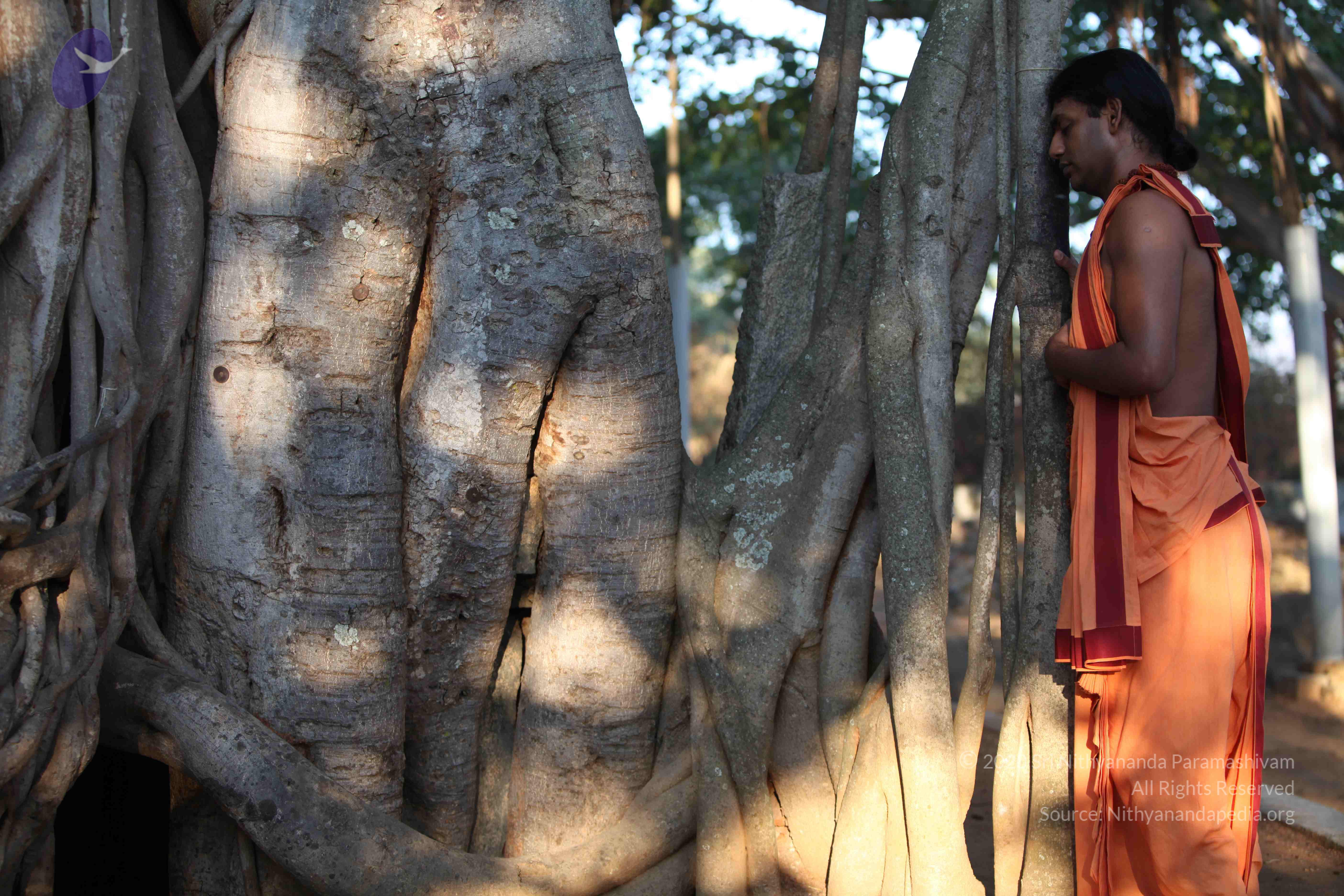 20110202_Photo_1029_IMG_3099_CMP_WM