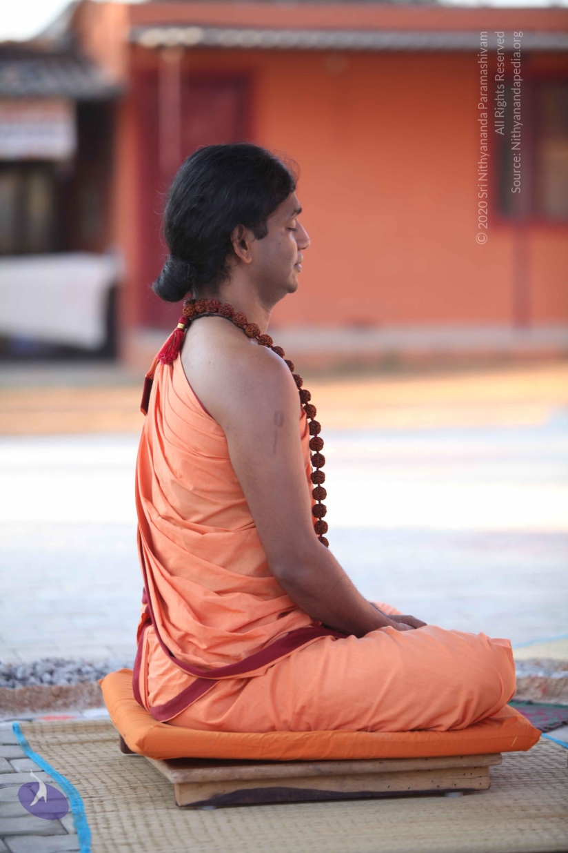 20110202_Photo_1031_IMG_3207_CMP_WM