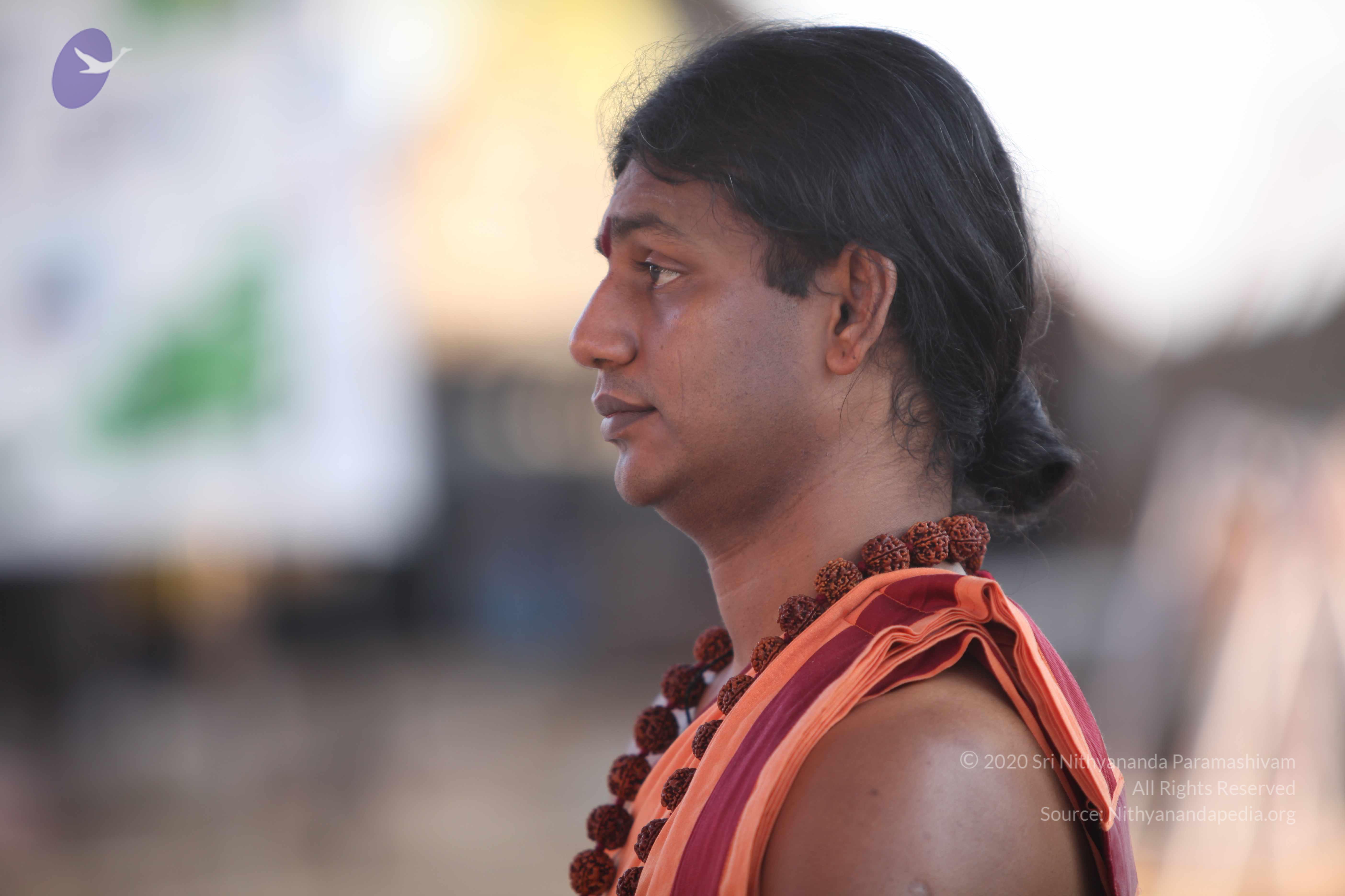 20110202_Photo_1033_IMG_3191_CMP_WM