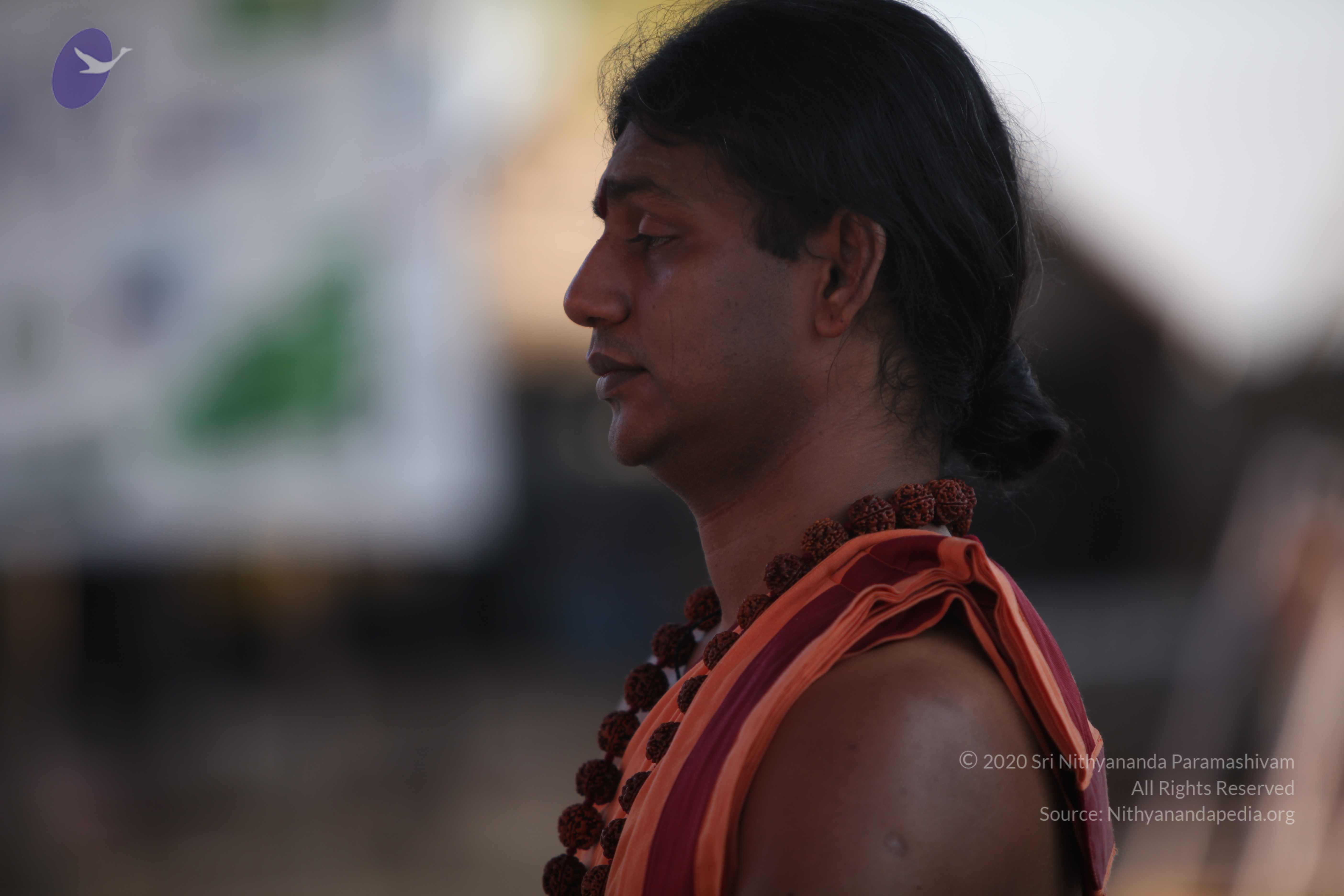 20110202_Photo_1034_IMG_3180_CMP_WM