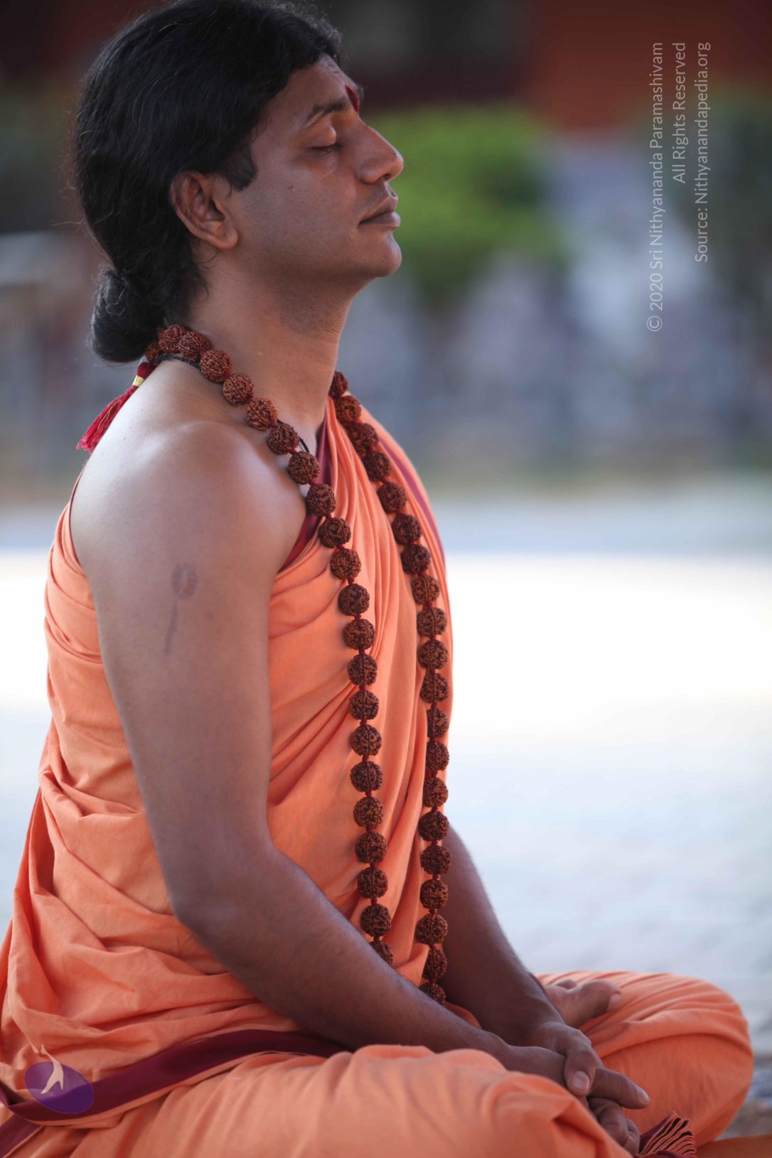 20110202_Photo_1036_IMG_3221_CMP_WM