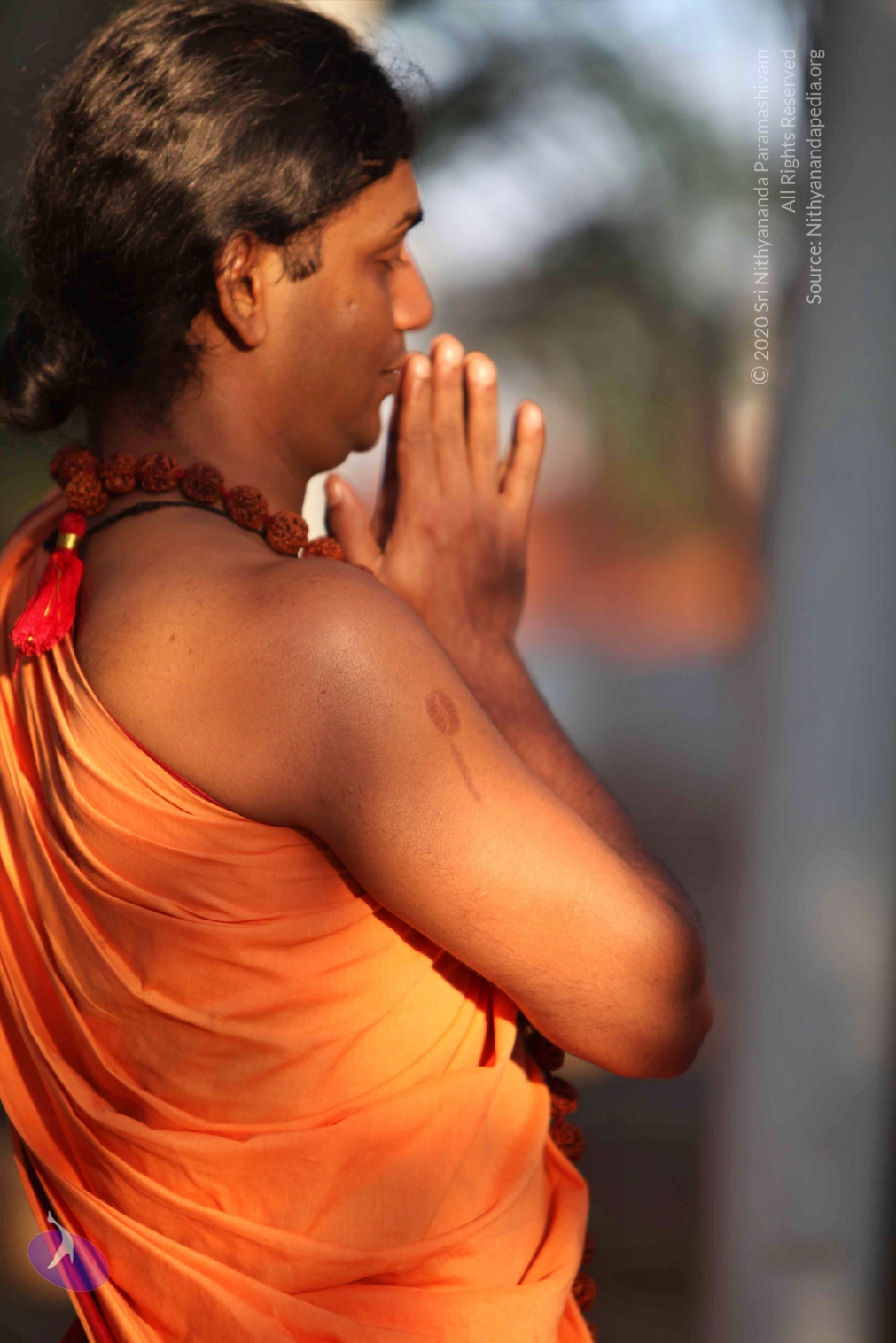 20110202_Photo_1039_IMG_3088_CMP_WM