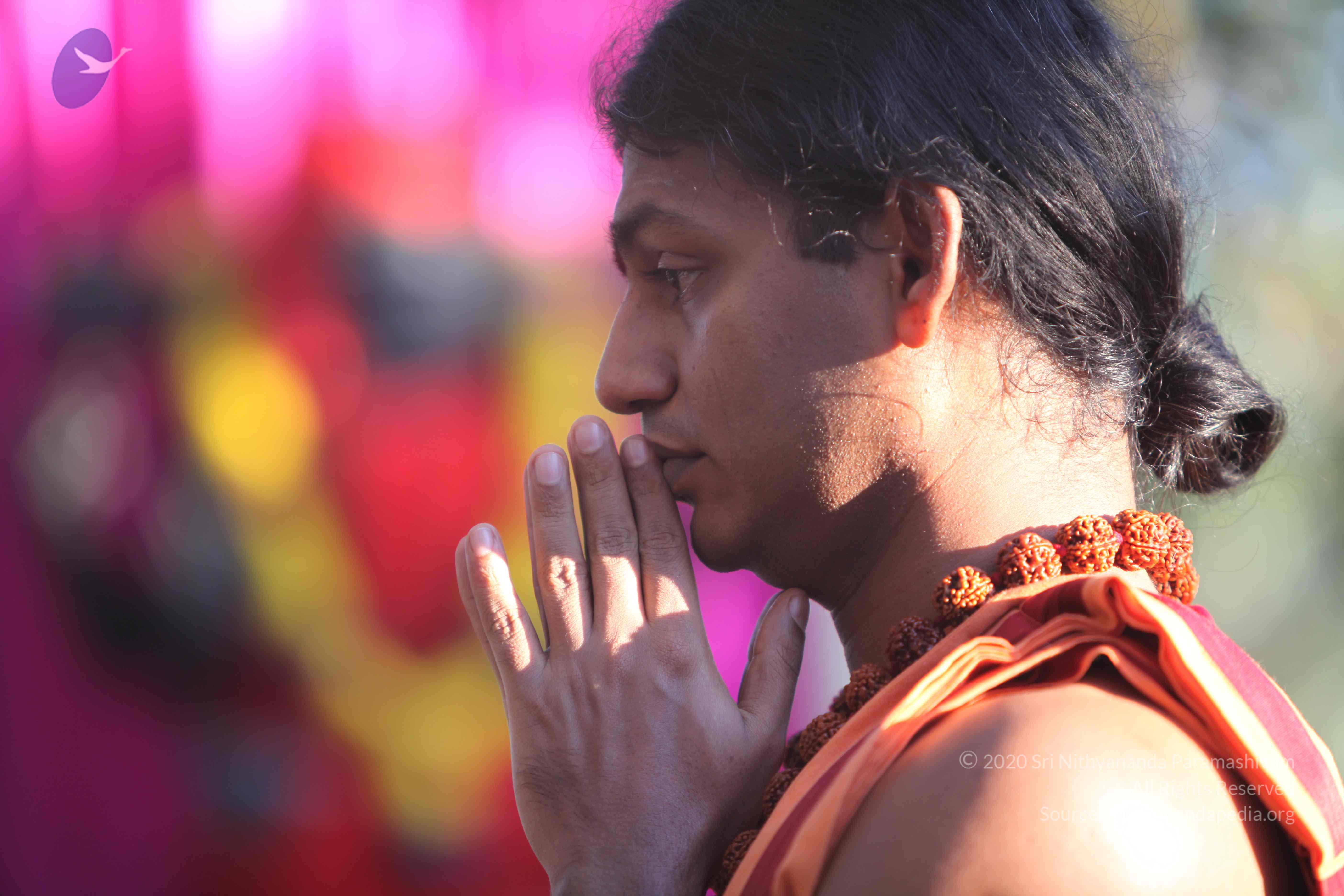 20110202_Photo_1040_IMG_3101_CMP_WM