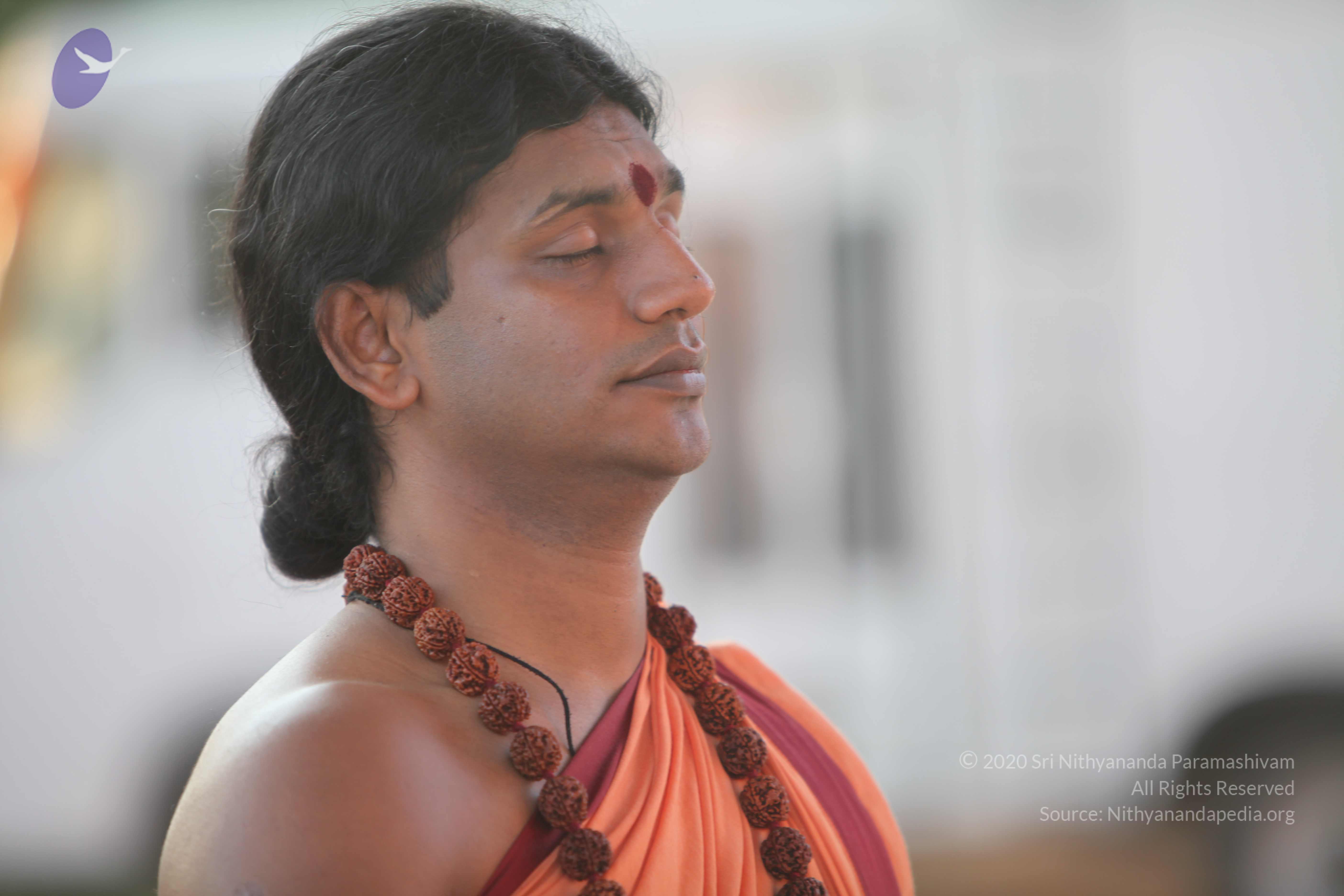 20110202_Photo_1043_IMG_3154_CMP_WM