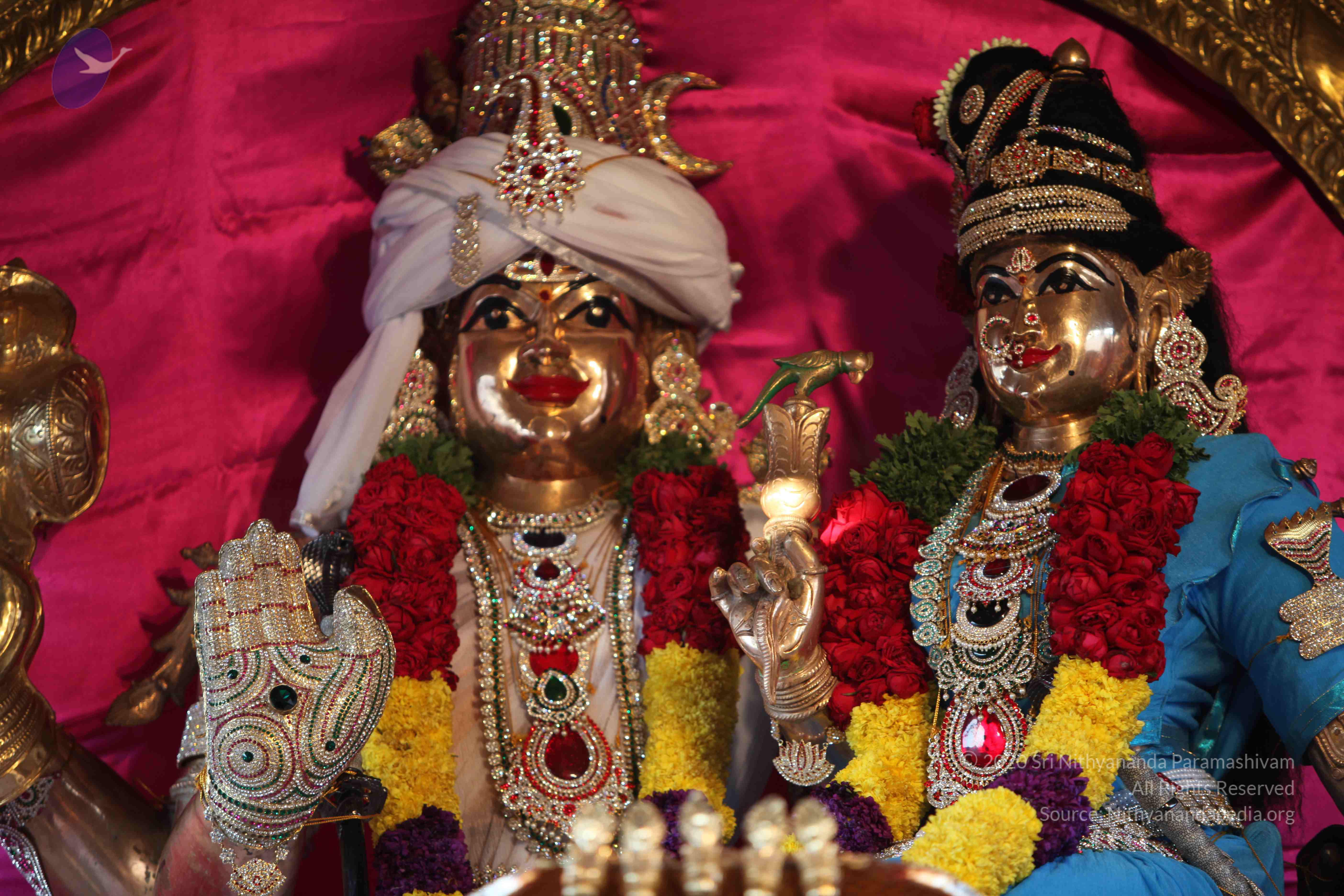 20110202_Photo_1045_IMG_3040_CMP_WM