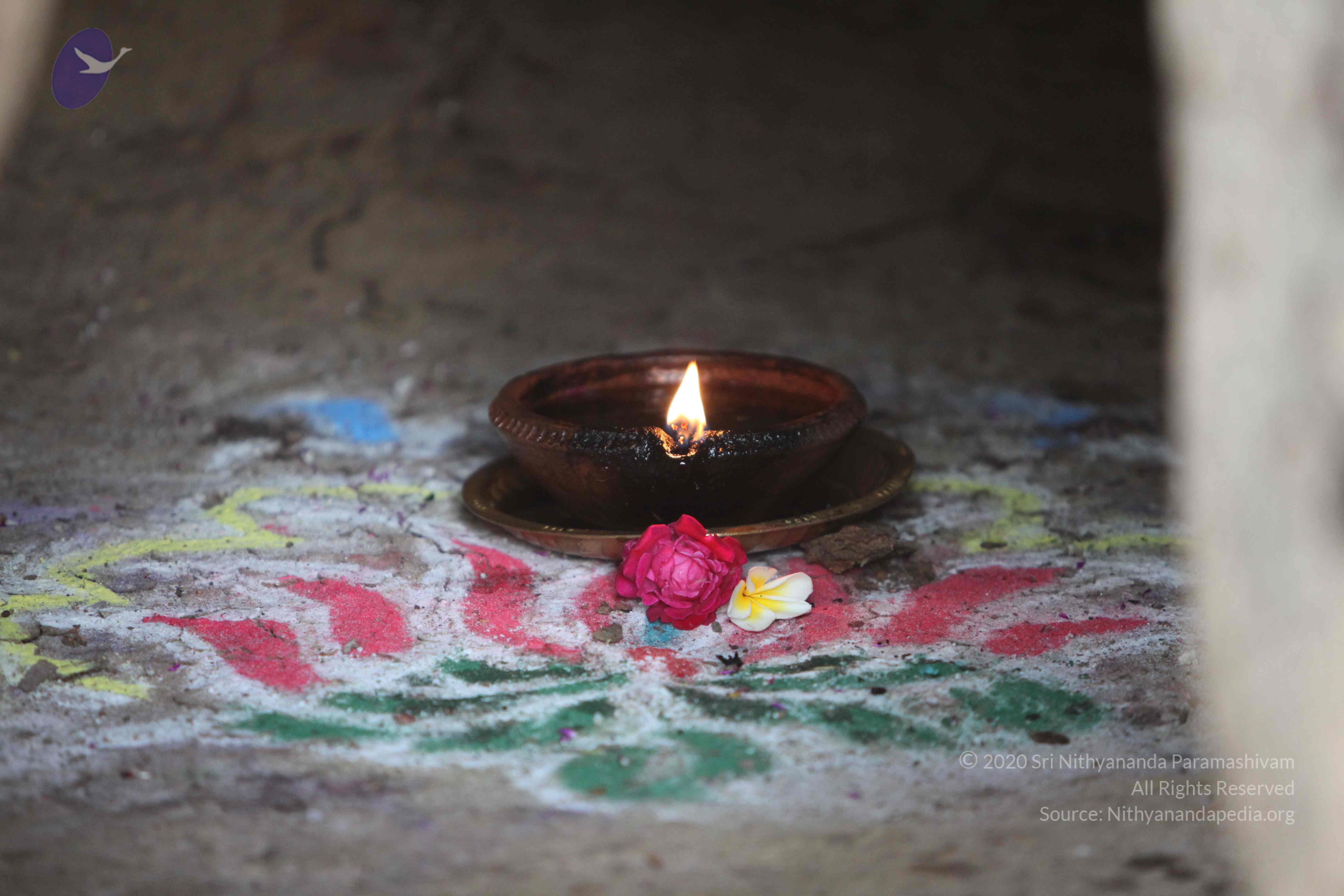 20110202_Photo_1046_IMG_3106_CMP_WM