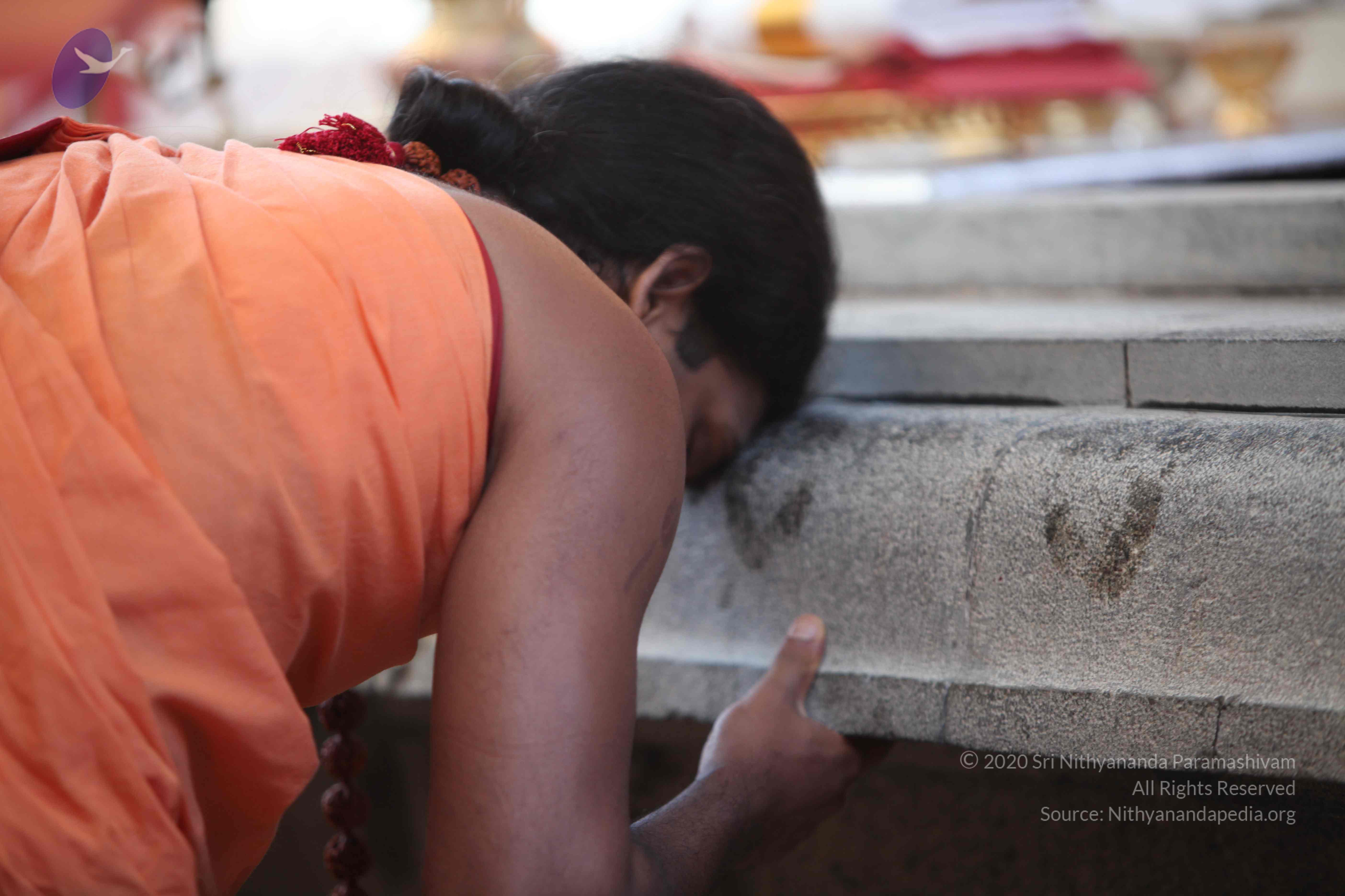 20110202_Photo_1048_IMG_3070_CMP_WM