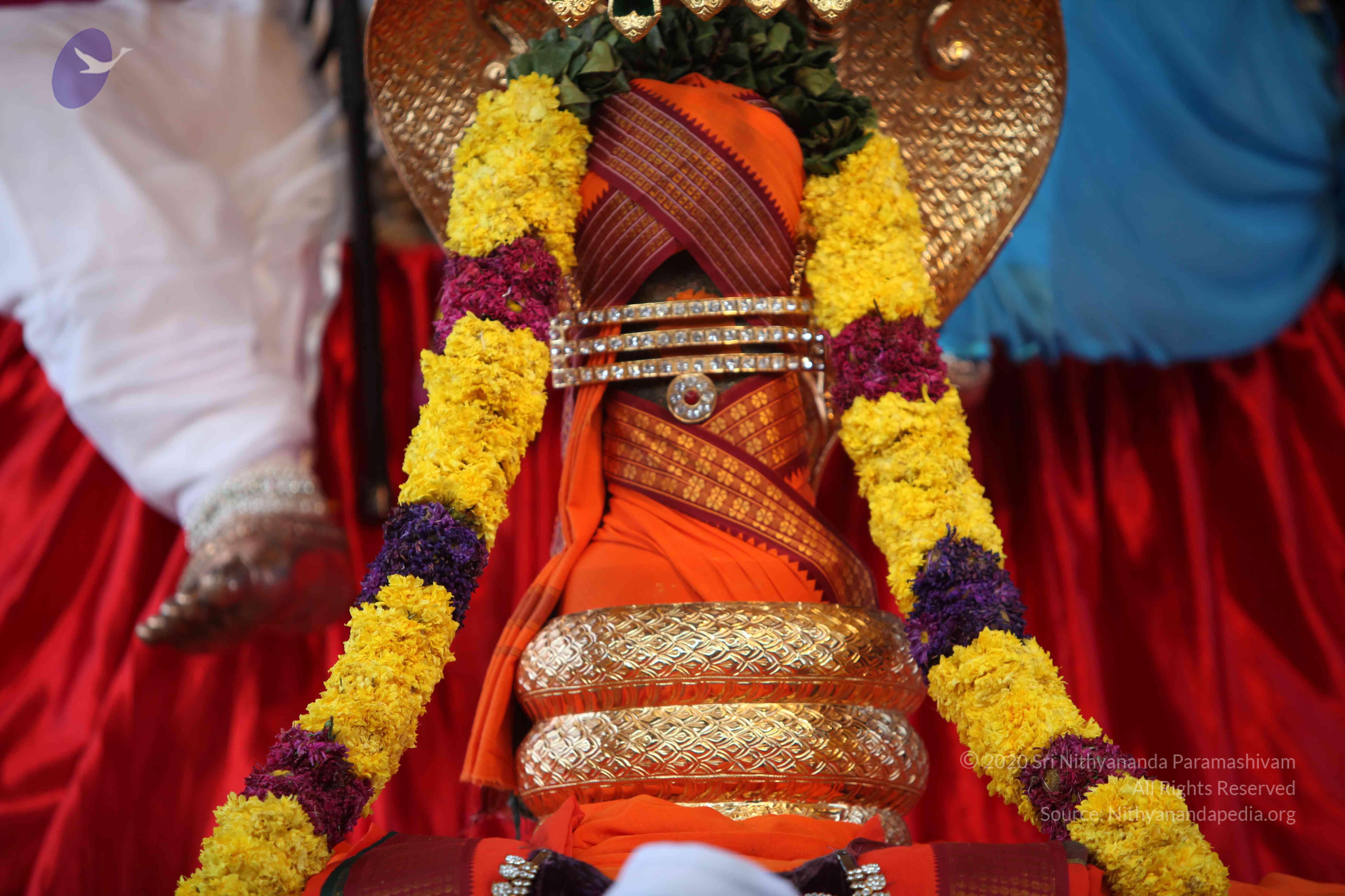 20110202_Photo_1049_IMG_3047_CMP_WM