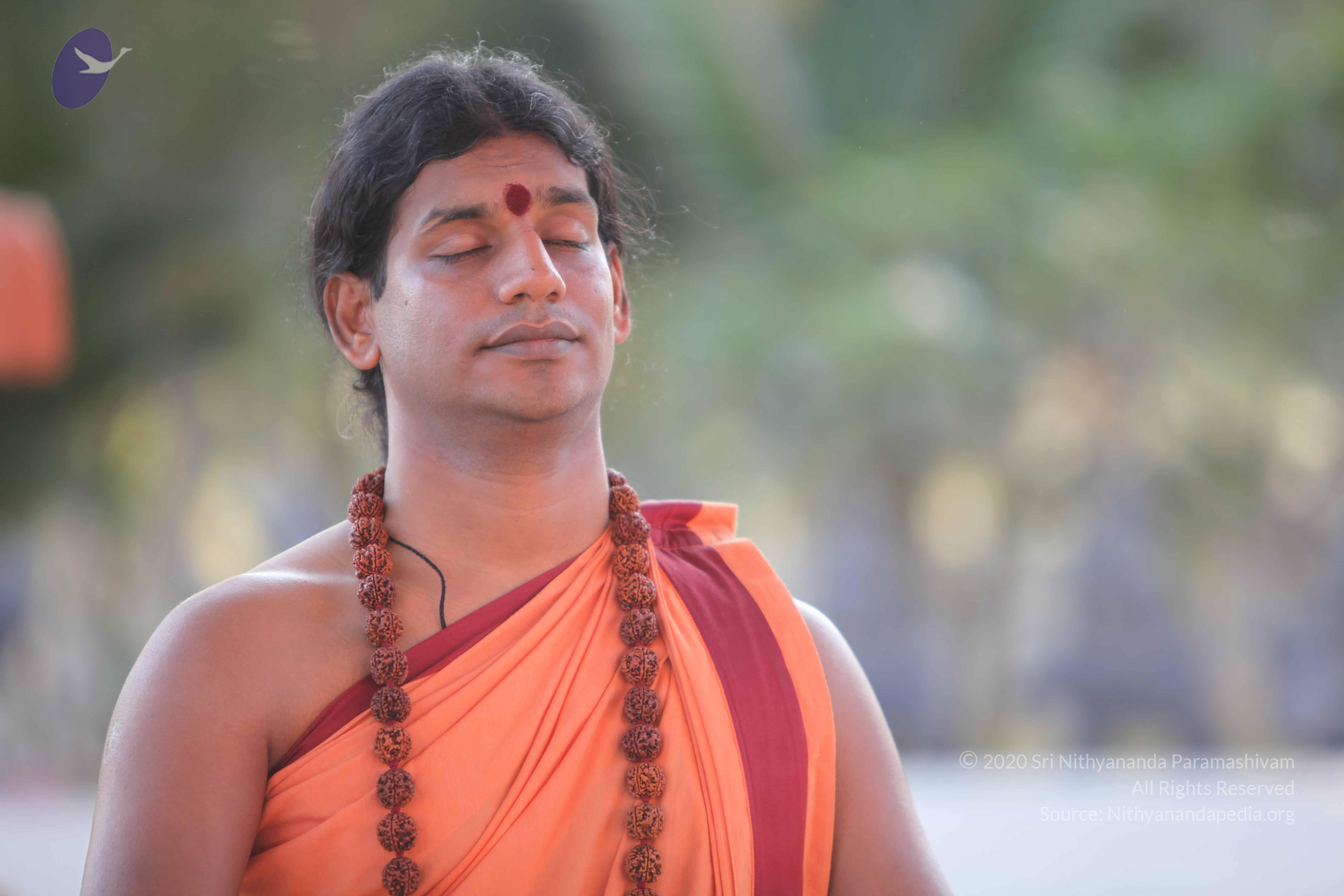 20110202_Photo_1050_IMG_3164_CMP_WM