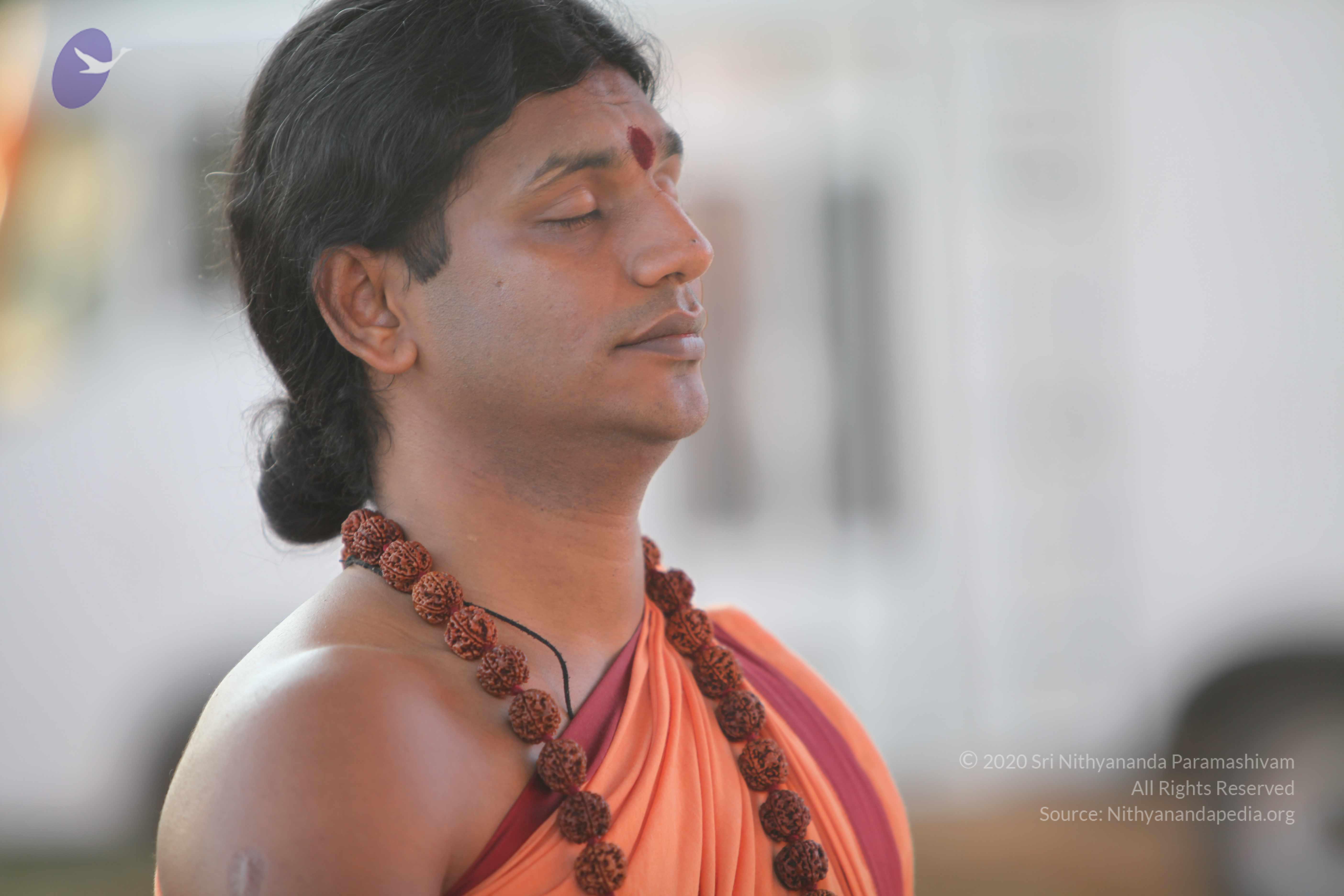 20110202_Photo_1051_IMG_3153_CMP_WM