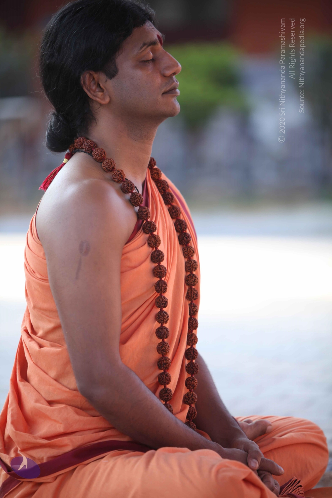 20110202_Photo_1054_IMG_3226_CMP_WM