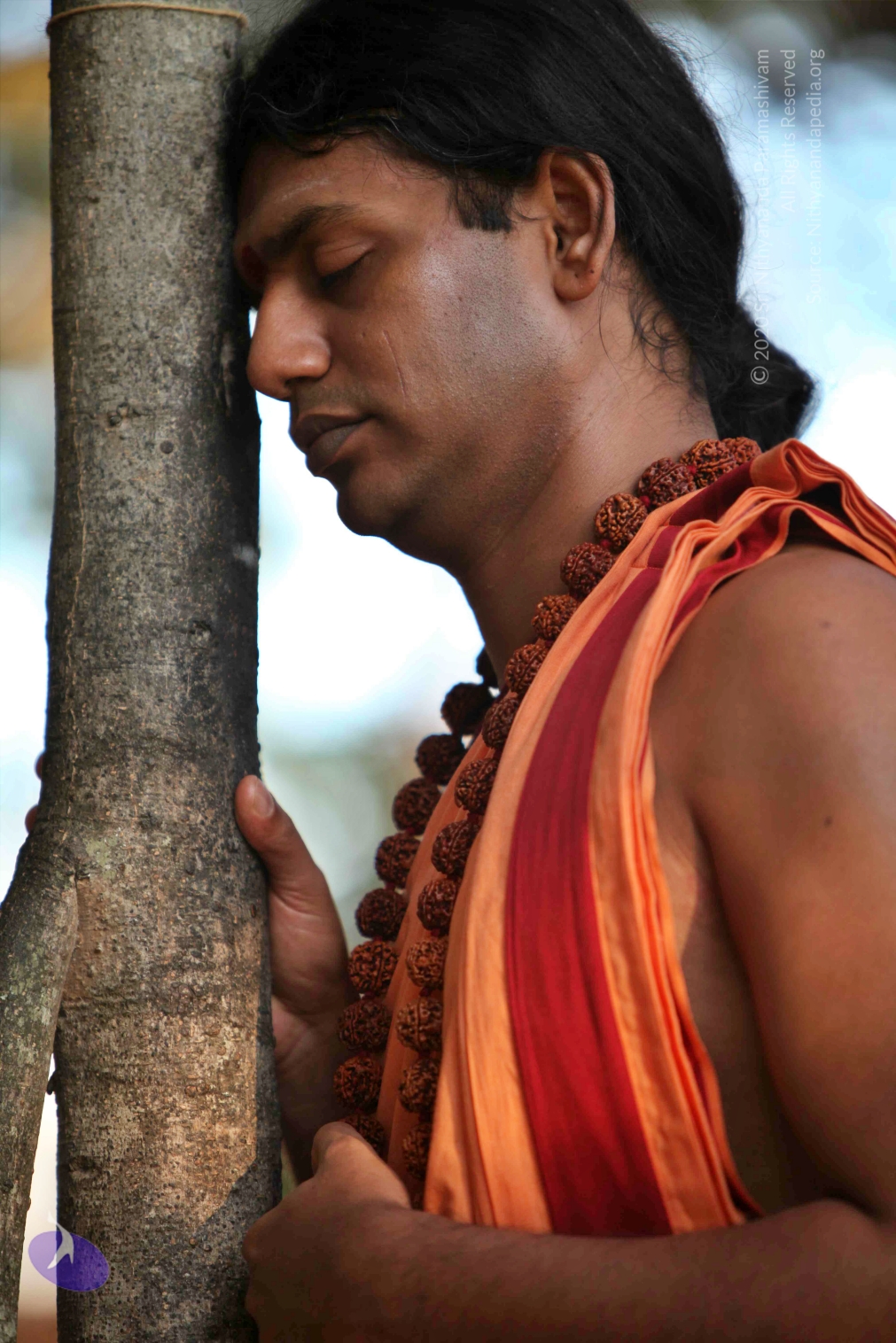 20110202_Photo_1055_IMG_3093_CMP_WM