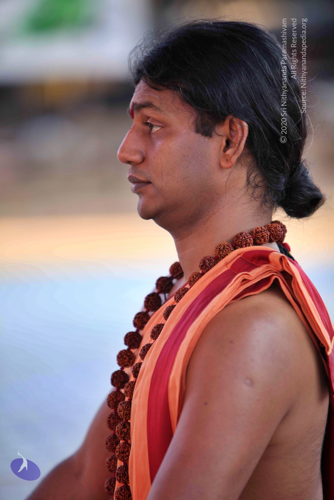 20110202_Photo_1056_IMG_3187_CMP_WM