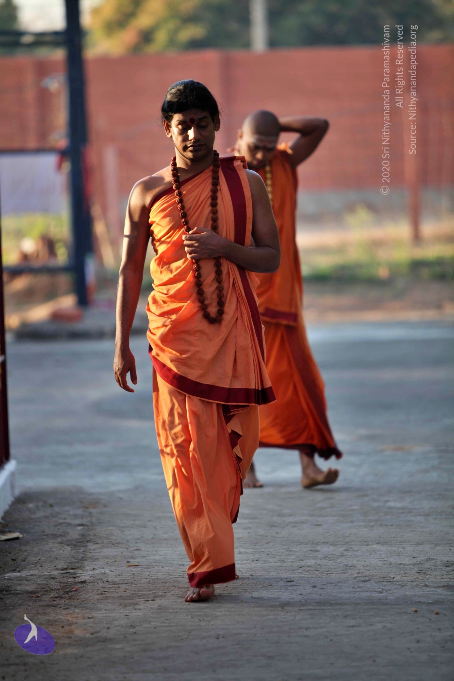 20110202_Photo_1058_IMG_3082_CMP_WM