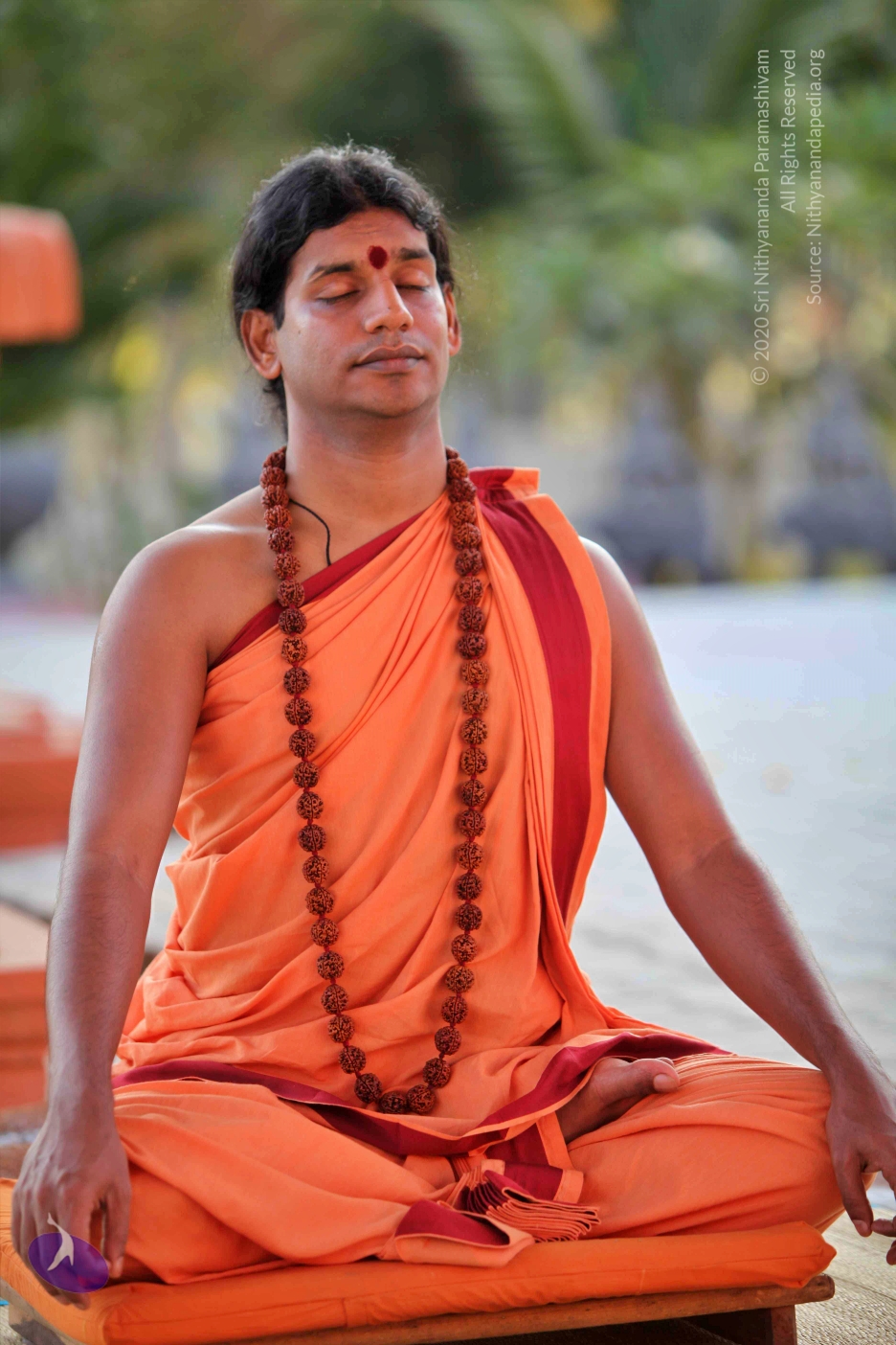 20110202_Photo_1060_IMG_3169_CMP_WM