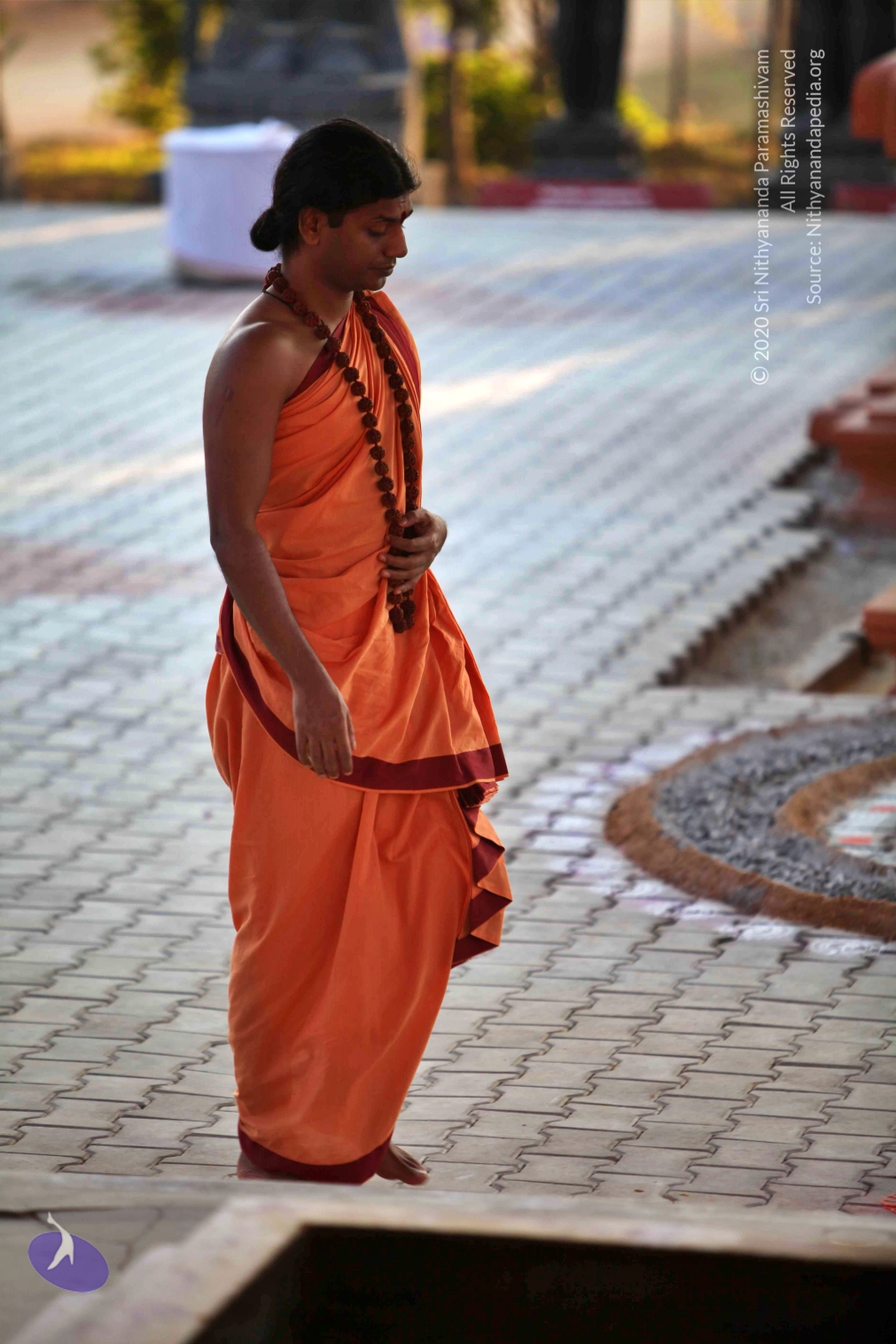 20110202_Photo_1063_IMG_3056_CMP_WM