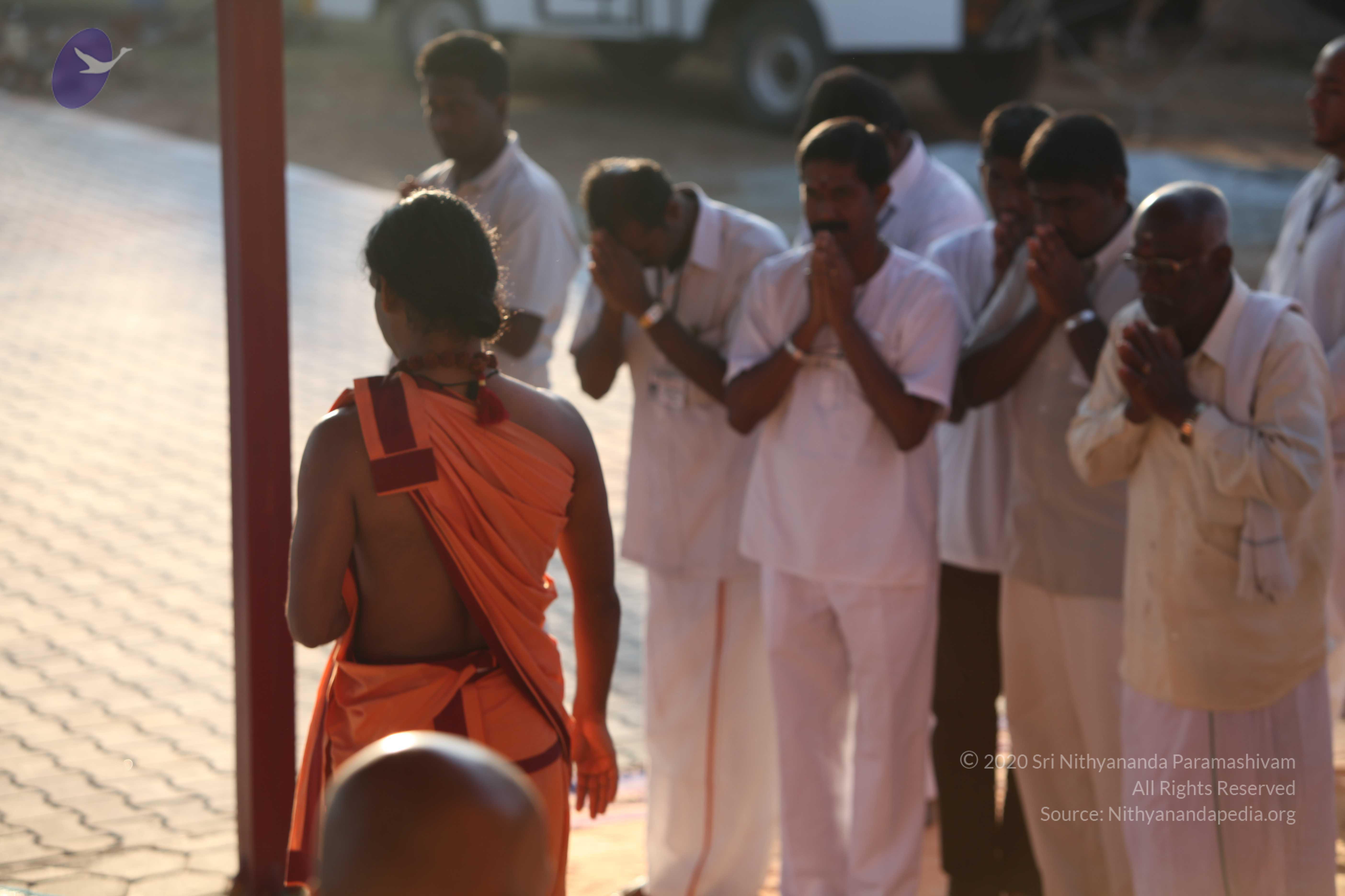 20110202_Photo_1065_IMG_3120_CMP_WM