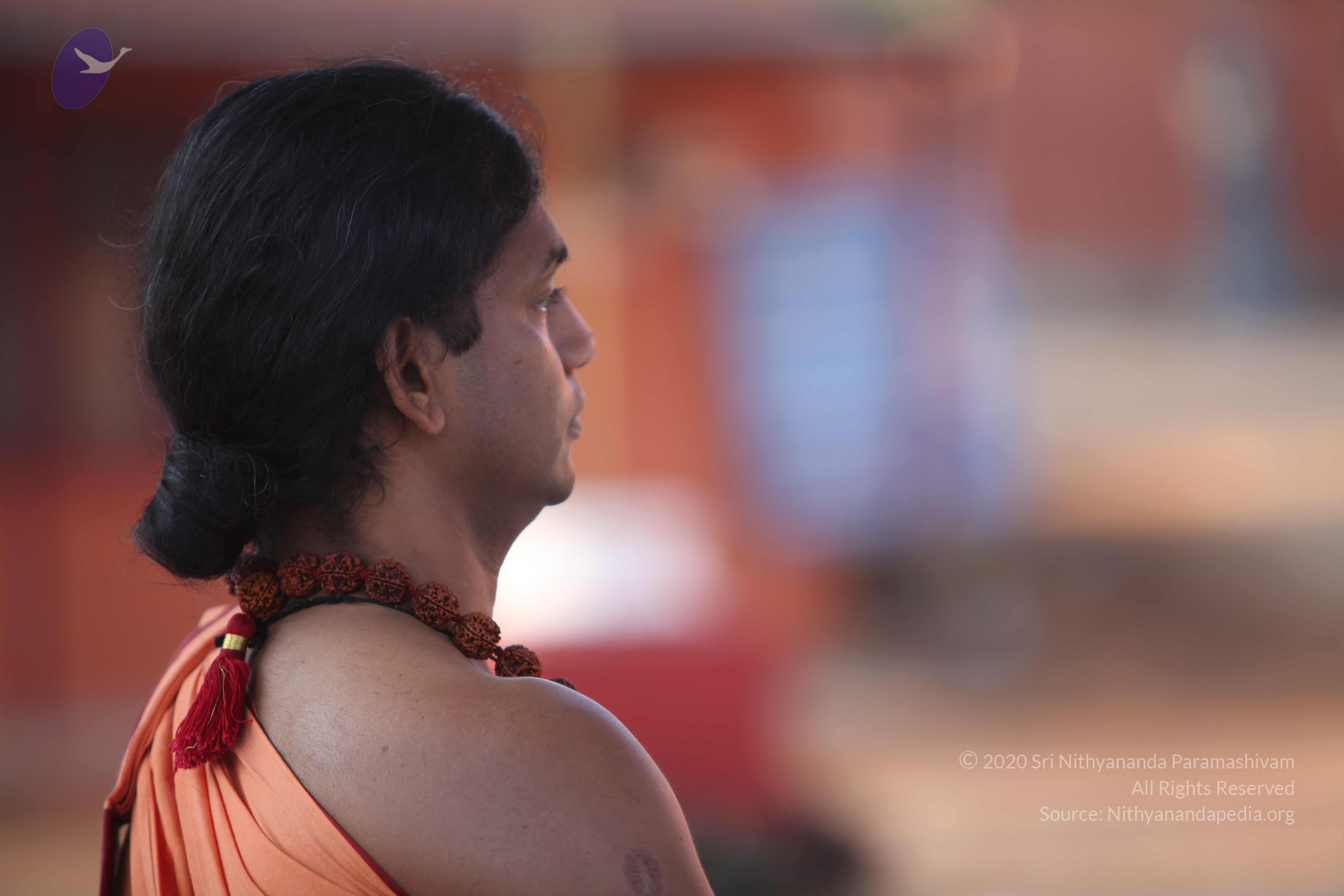 20110202_Photo_1069_IMG_3139_CMP_WM