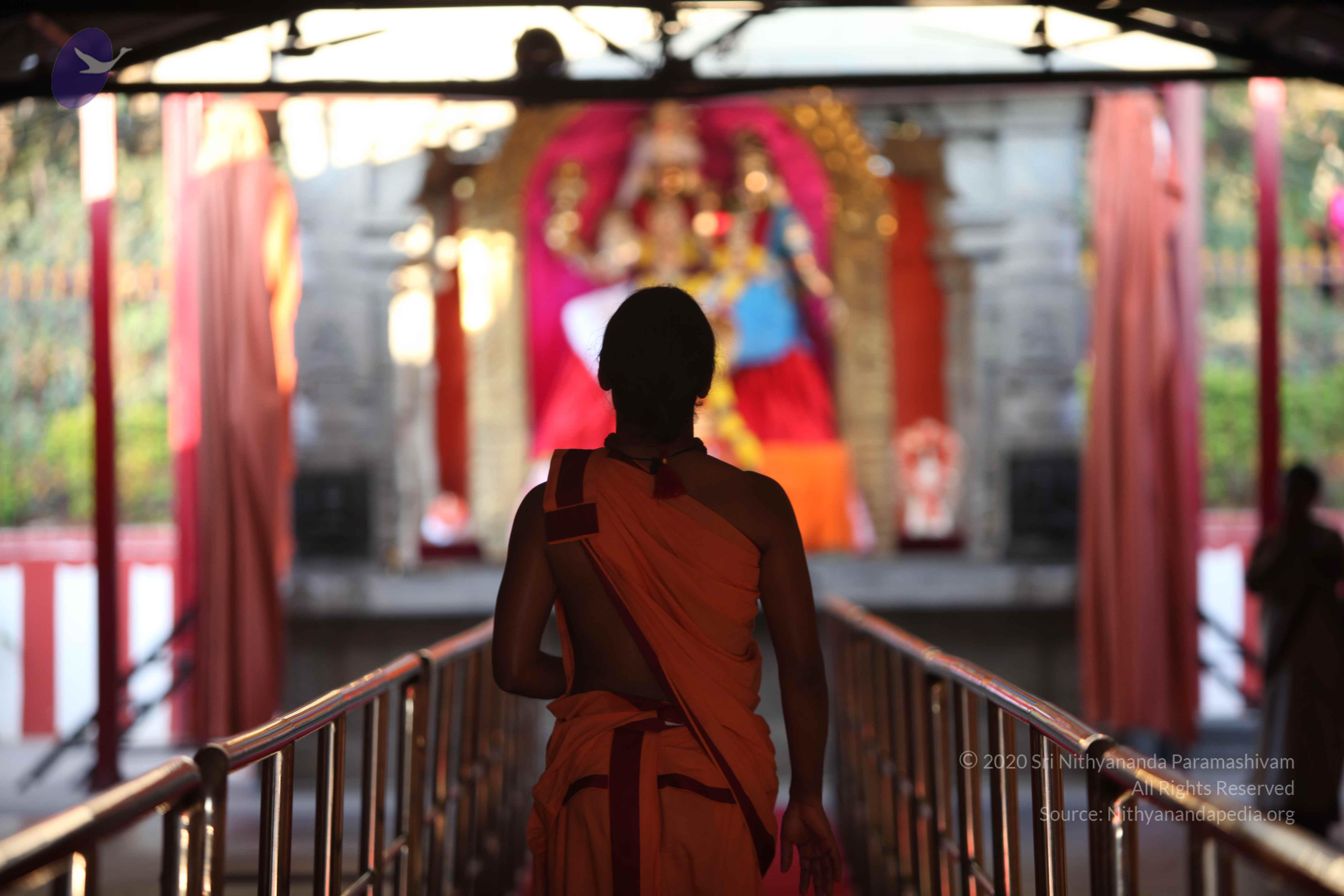 20110202_Photo_1072_IMG_3064_CMP_WM