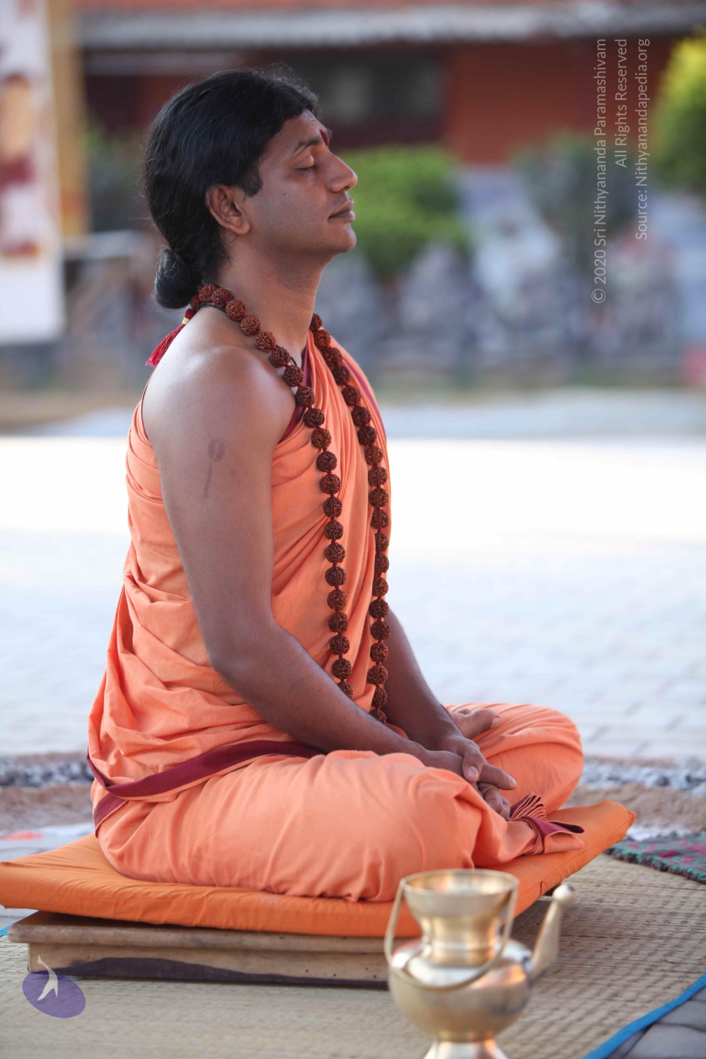 20110202_Photo_1073_IMG_3219_CMP_WM