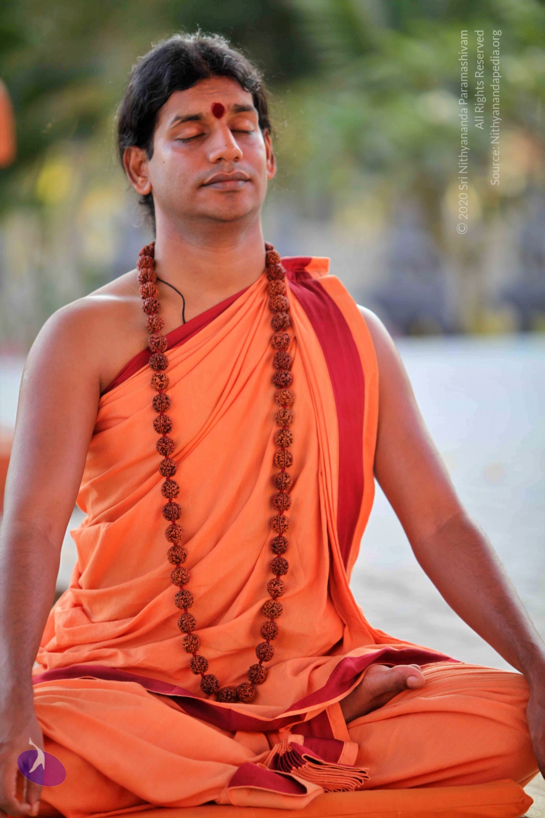 20110202_Photo_1075_IMG_3170_CMP_WM