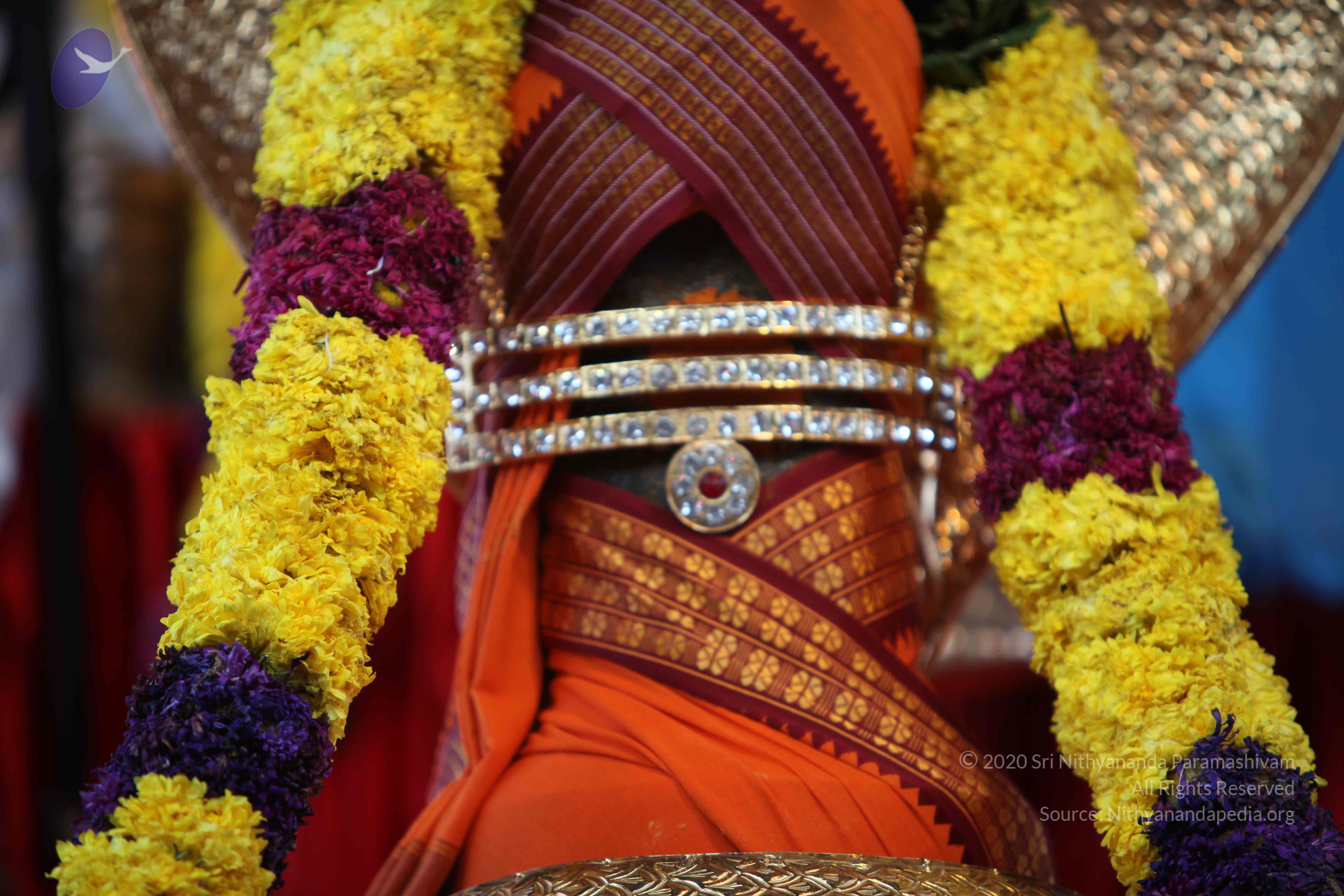 20110202_Photo_1077_IMG_3112_CMP_WM